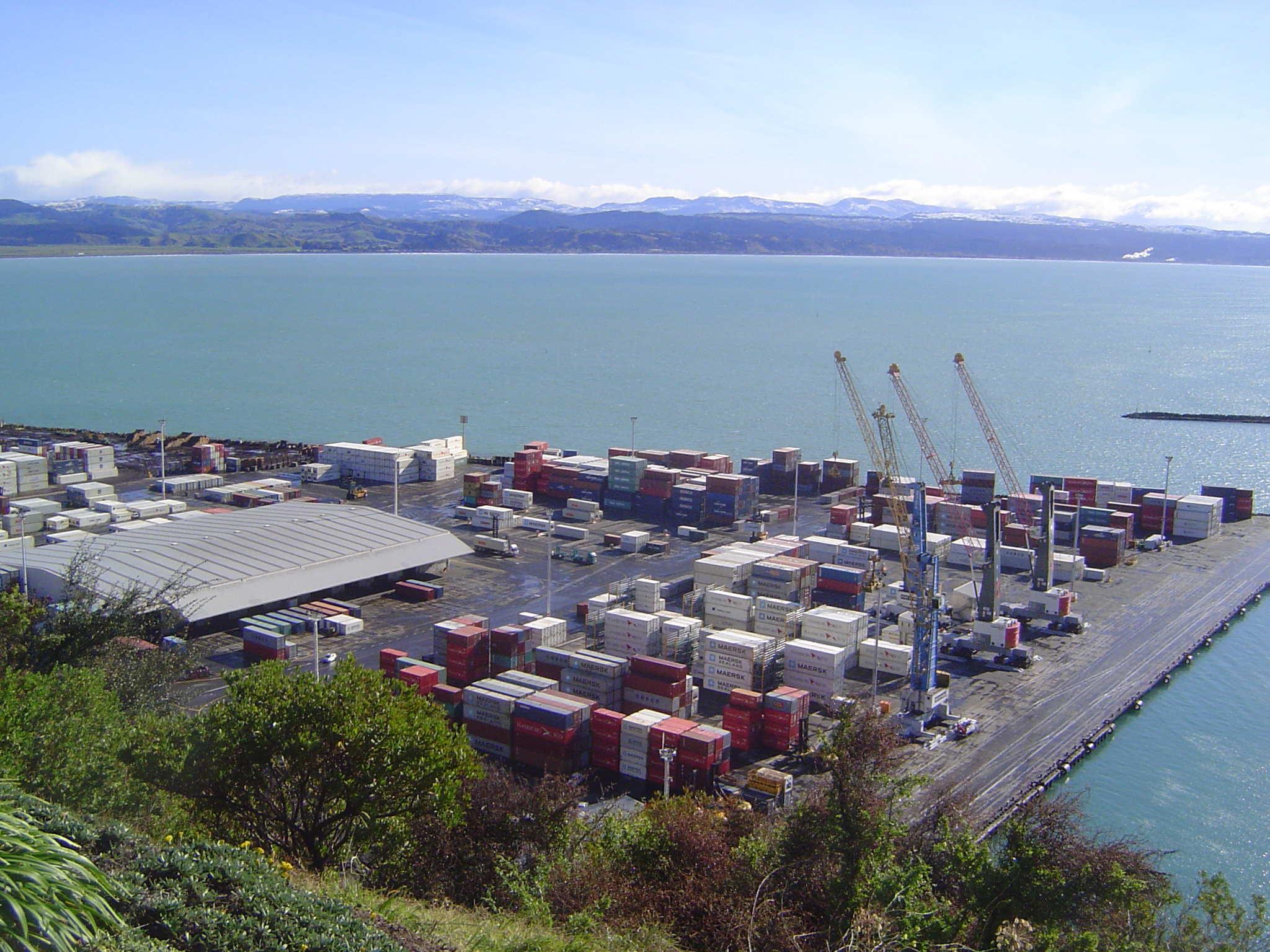 Here, in Napier, is where that product leaves the island. About a billion dollars NZ worth of meat, mostly lamb, heads out annually. Biggest
