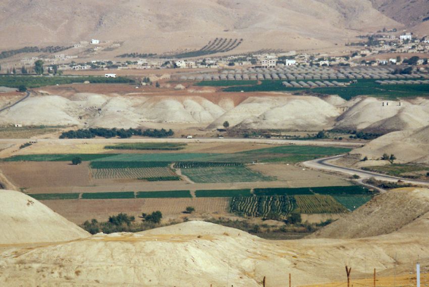 A bit of height allows a peek beyond, into the irrigated Jordanian side of the river. The irrigation water comes from the tributary Yarmouk