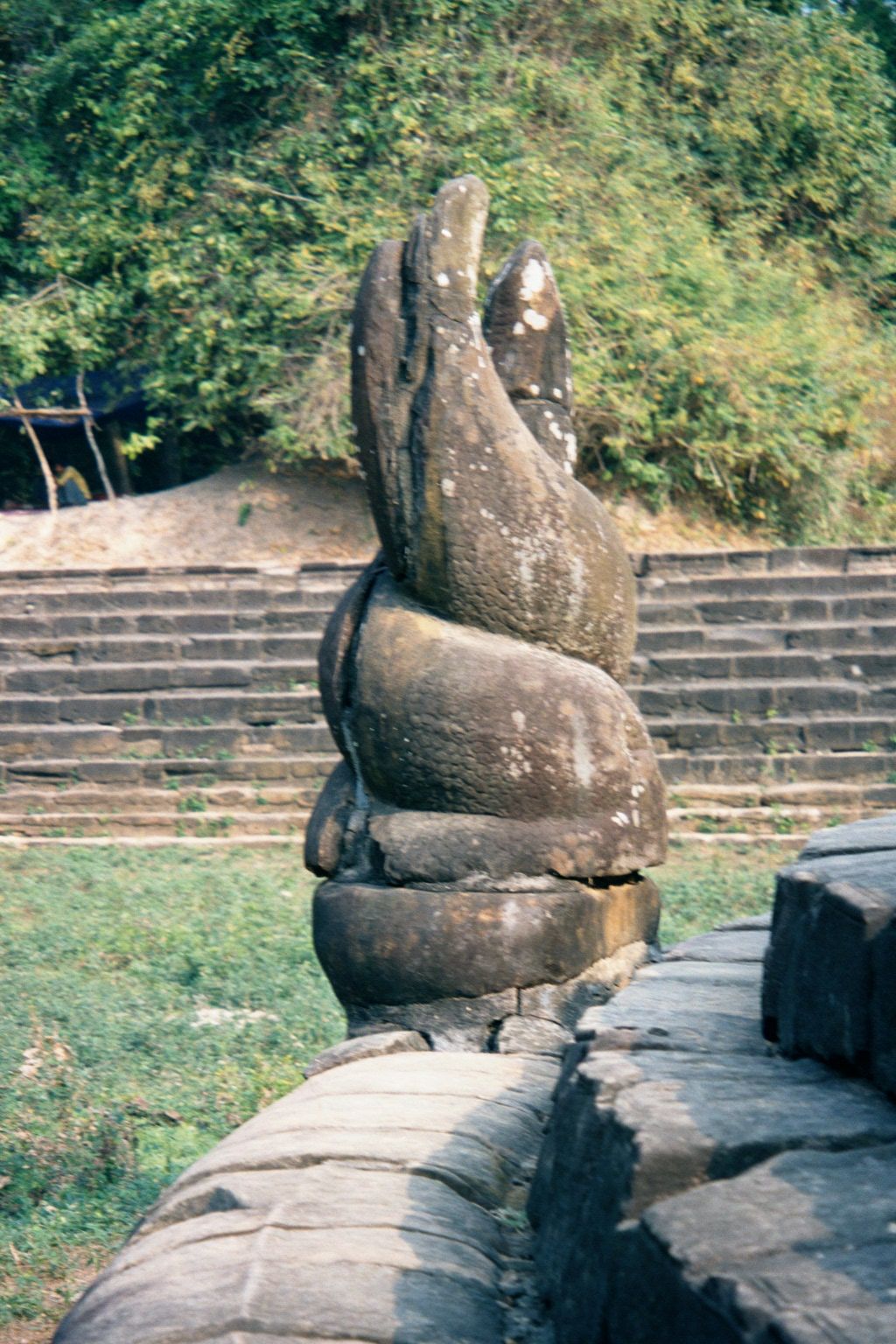 ...see the entwined tails that give the place its name.