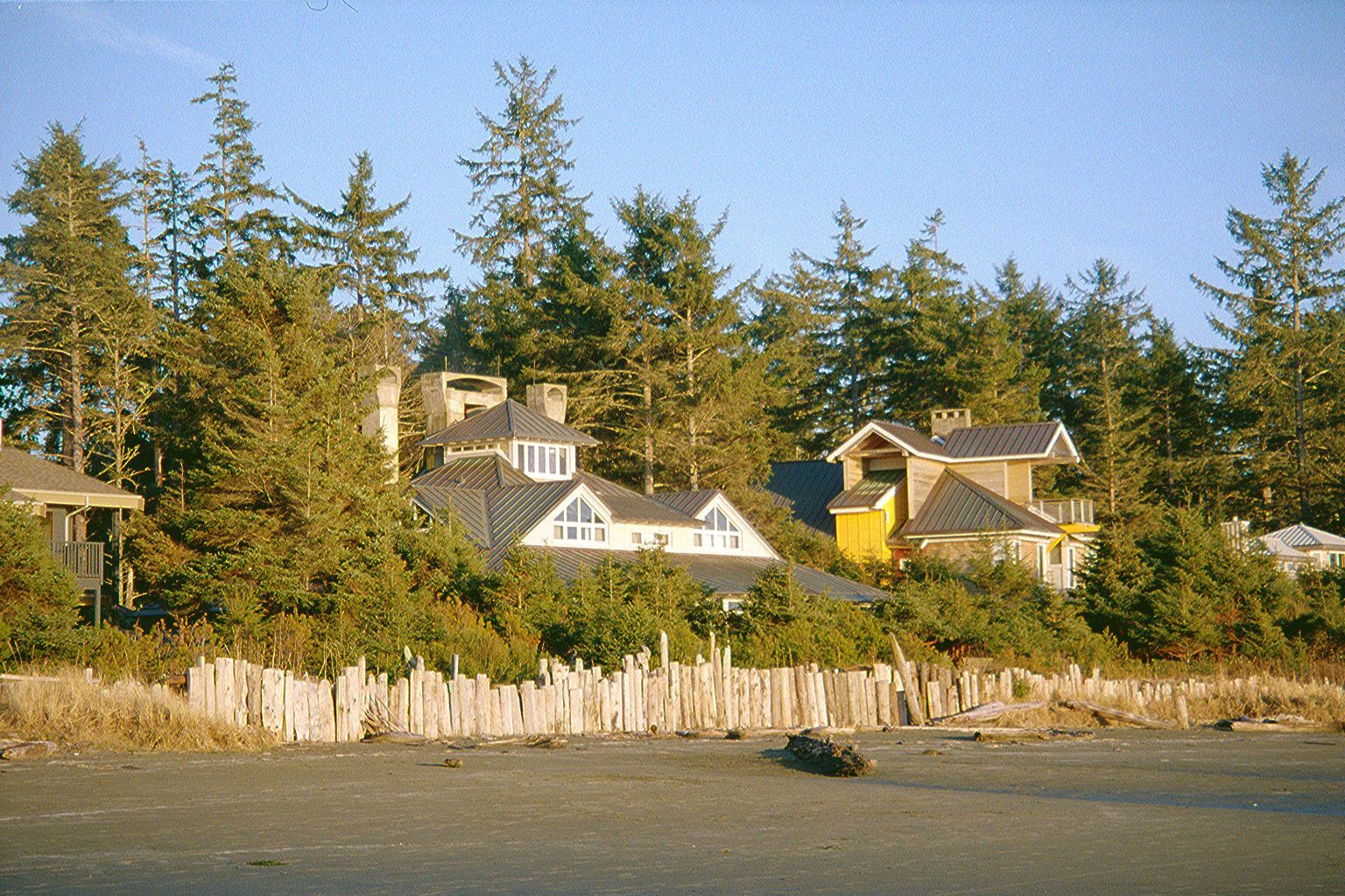 The vacation money goes into waterfront homes like these on Chesterman Beach.