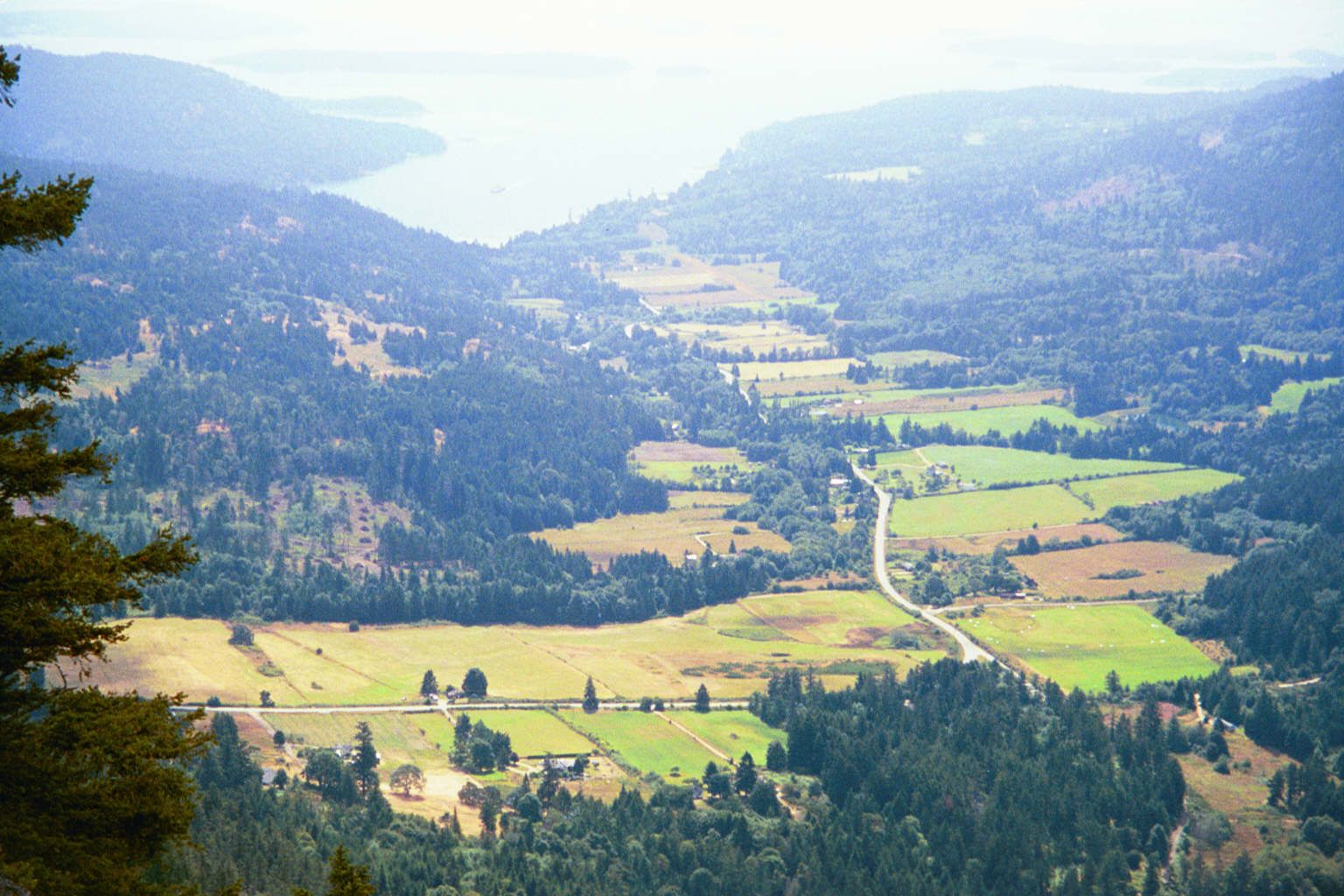 The view from Mt. Maxwell toward Fulford Harbour, where the Victoria ferry docks. Although British Columbia generally adopted a cardinally o