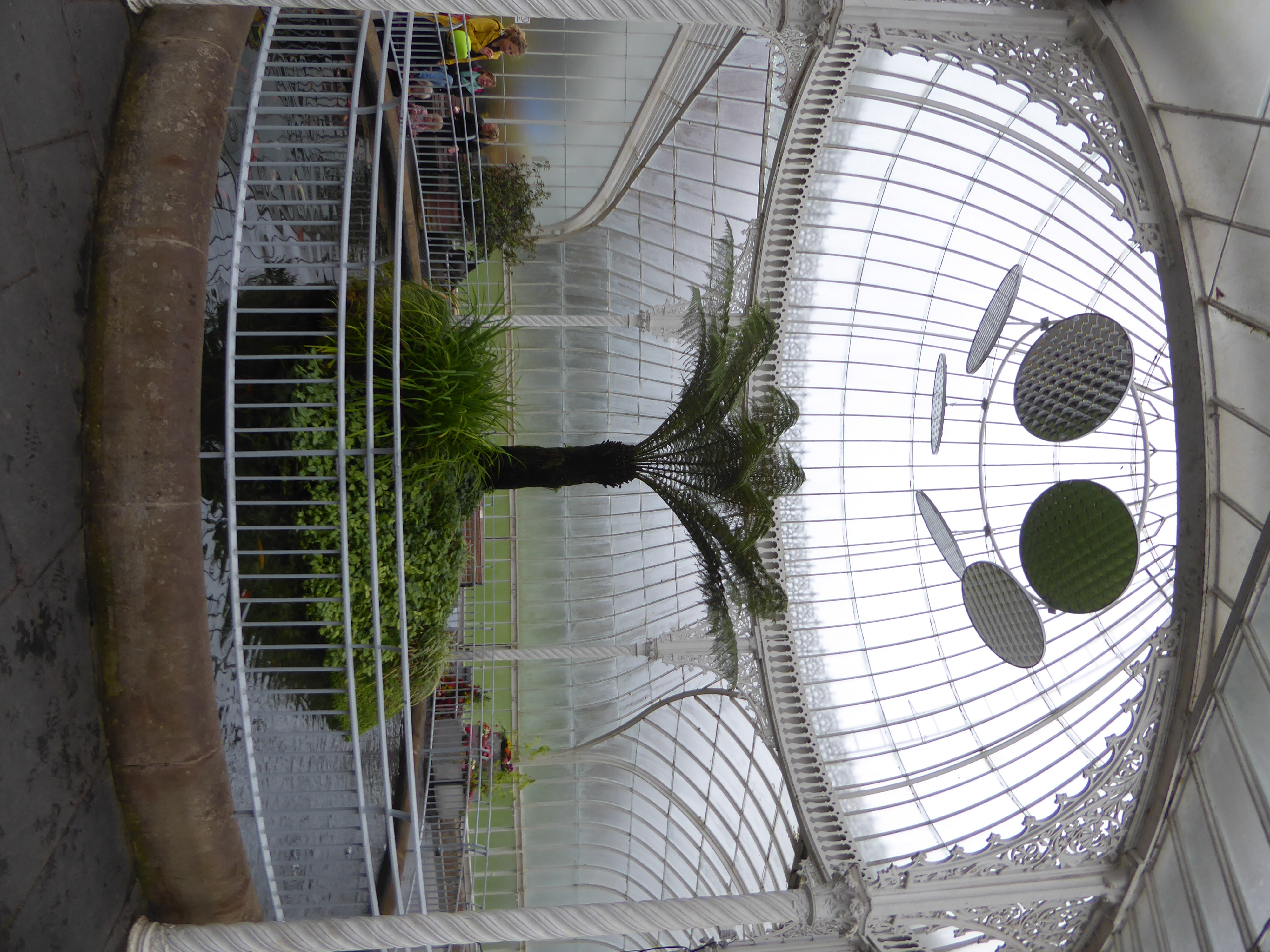 Tree ferns are the specialty. Who did the castings? Walter MacFarlane.