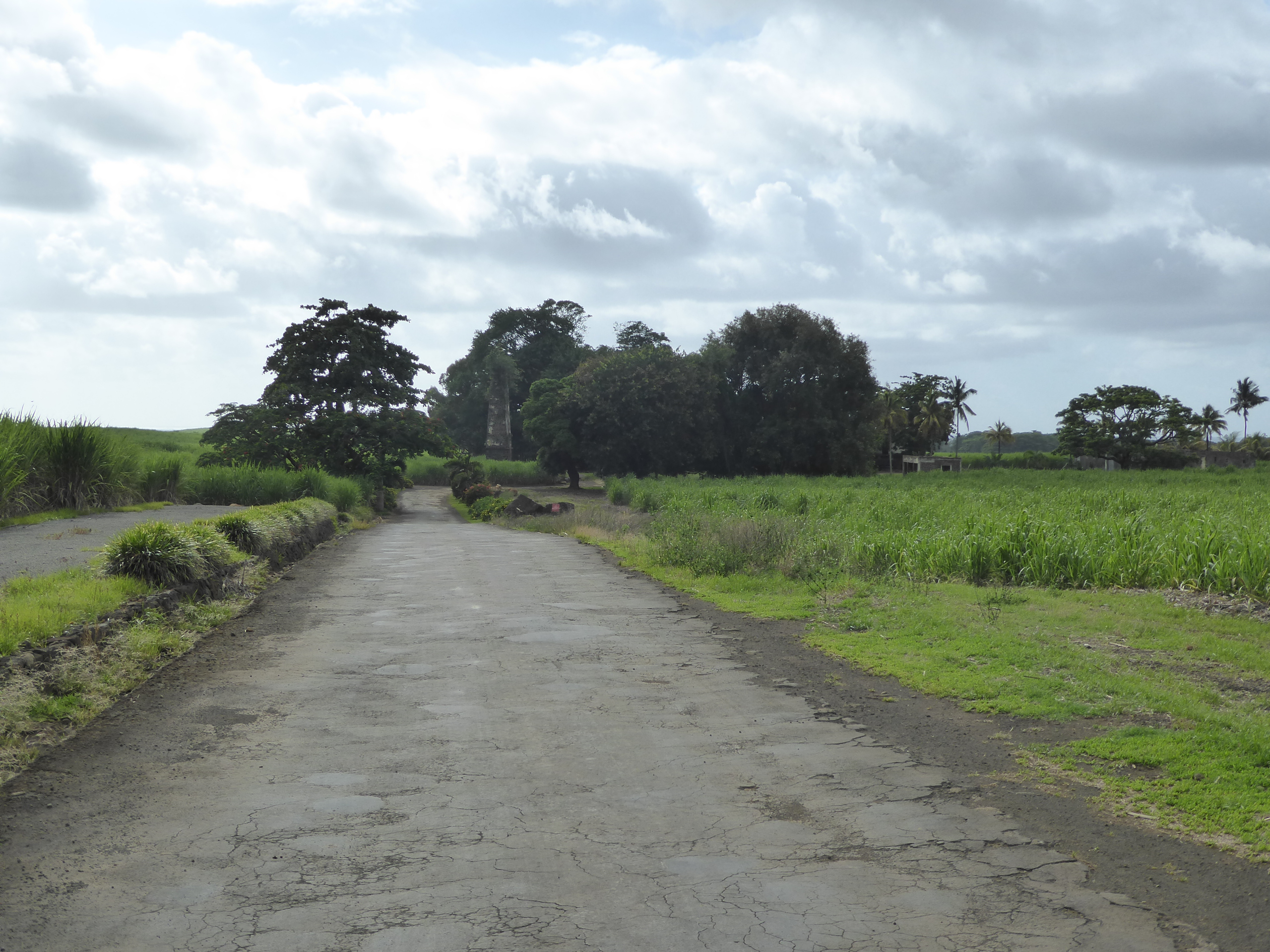 Parts of that south coast are unprotected by reefs. Here's a lonely road heading toward such a part. Yes, that's an abandoned sugar-factory