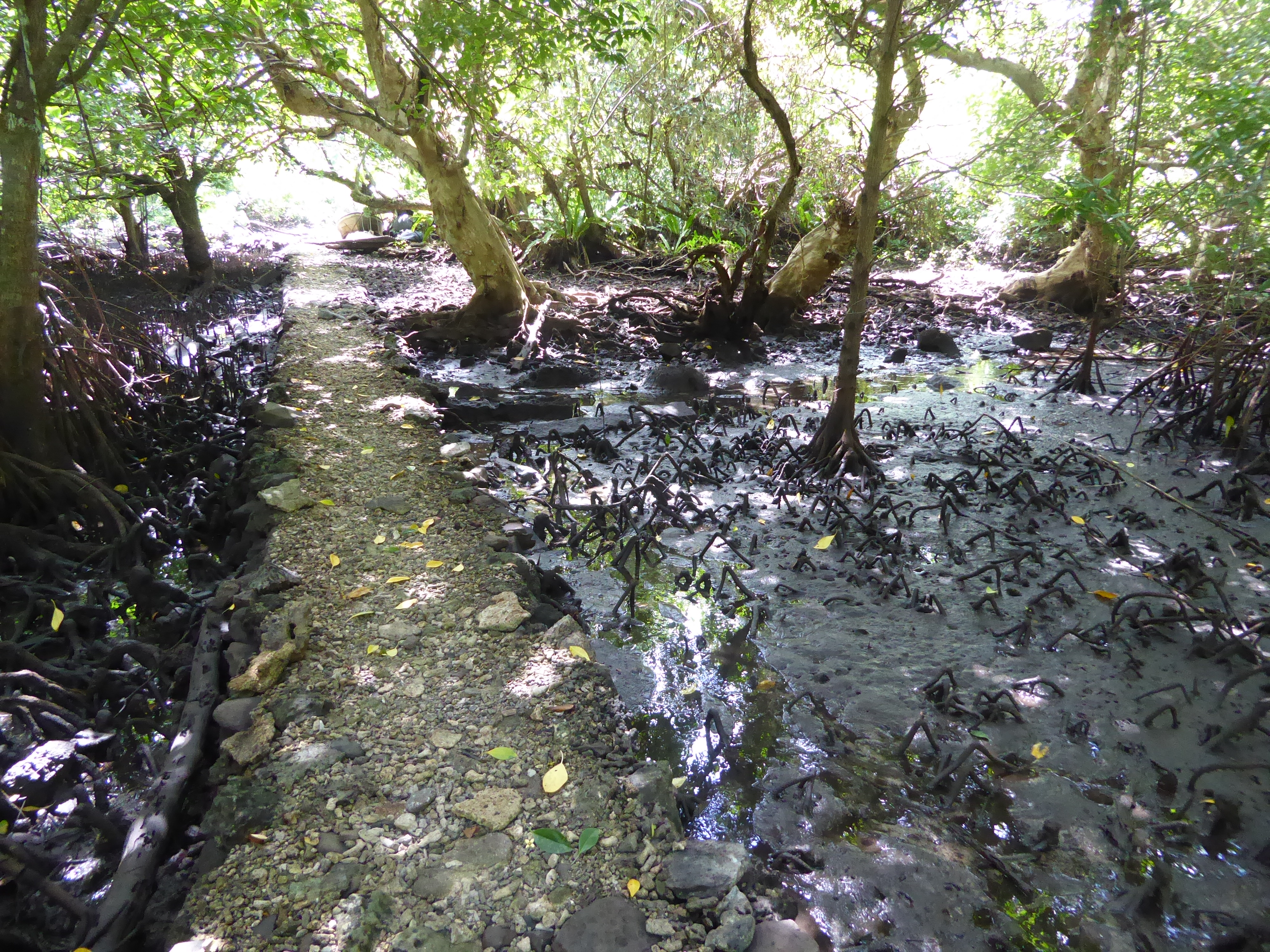 The ruins of Nan Madol that's all that's left of the place can be reached by canoe at high tide. The most prominent of the ruins, which hold