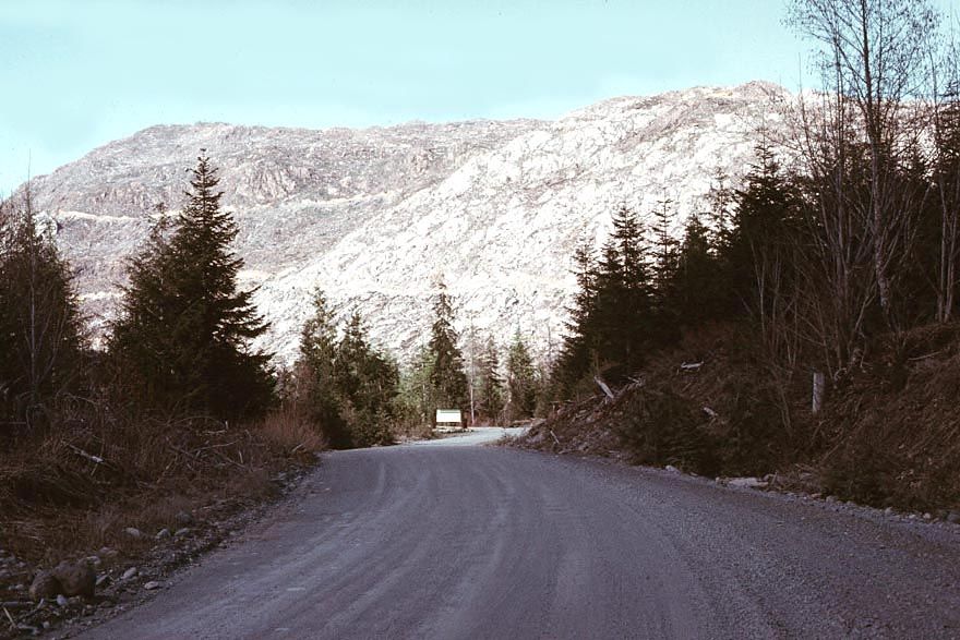 Does the land recover? This picture was taken south of Cowichan Lake about 1970. The photographer thought the land was done for, but by 2000
