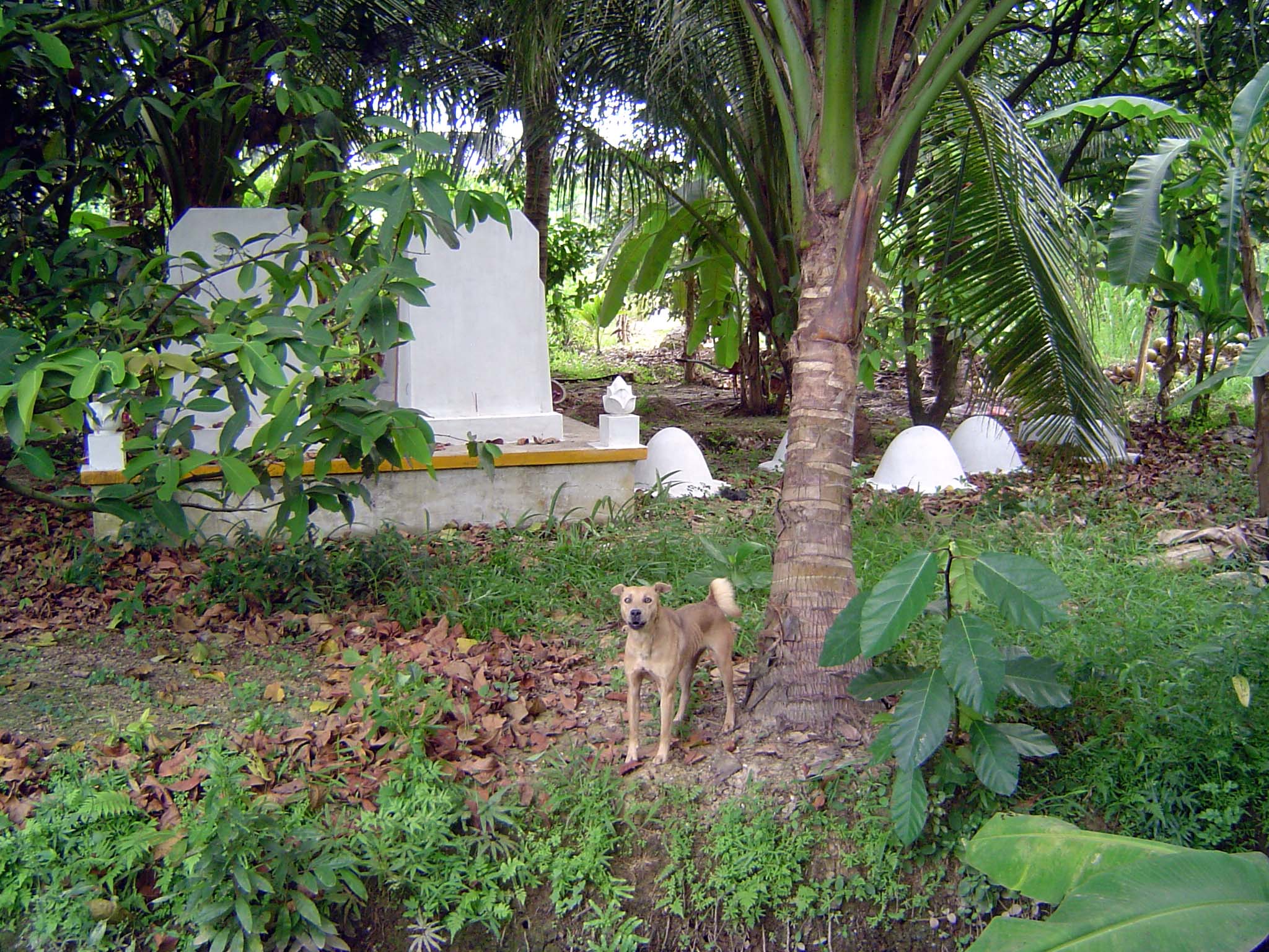 Cemetery.