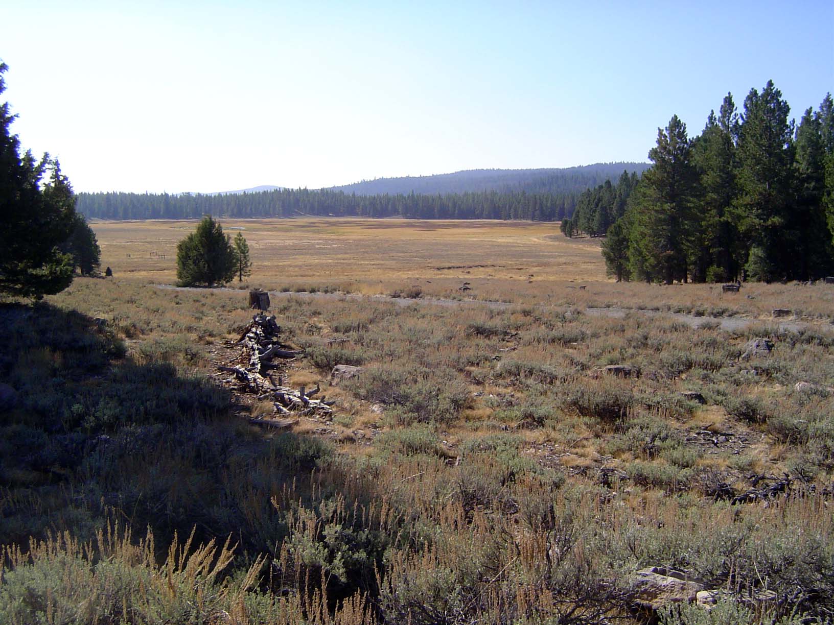 A few miles farther north, another broad valley, Kyburz Flat, significant because in pre-railroad days it was part of the stagecoach route o