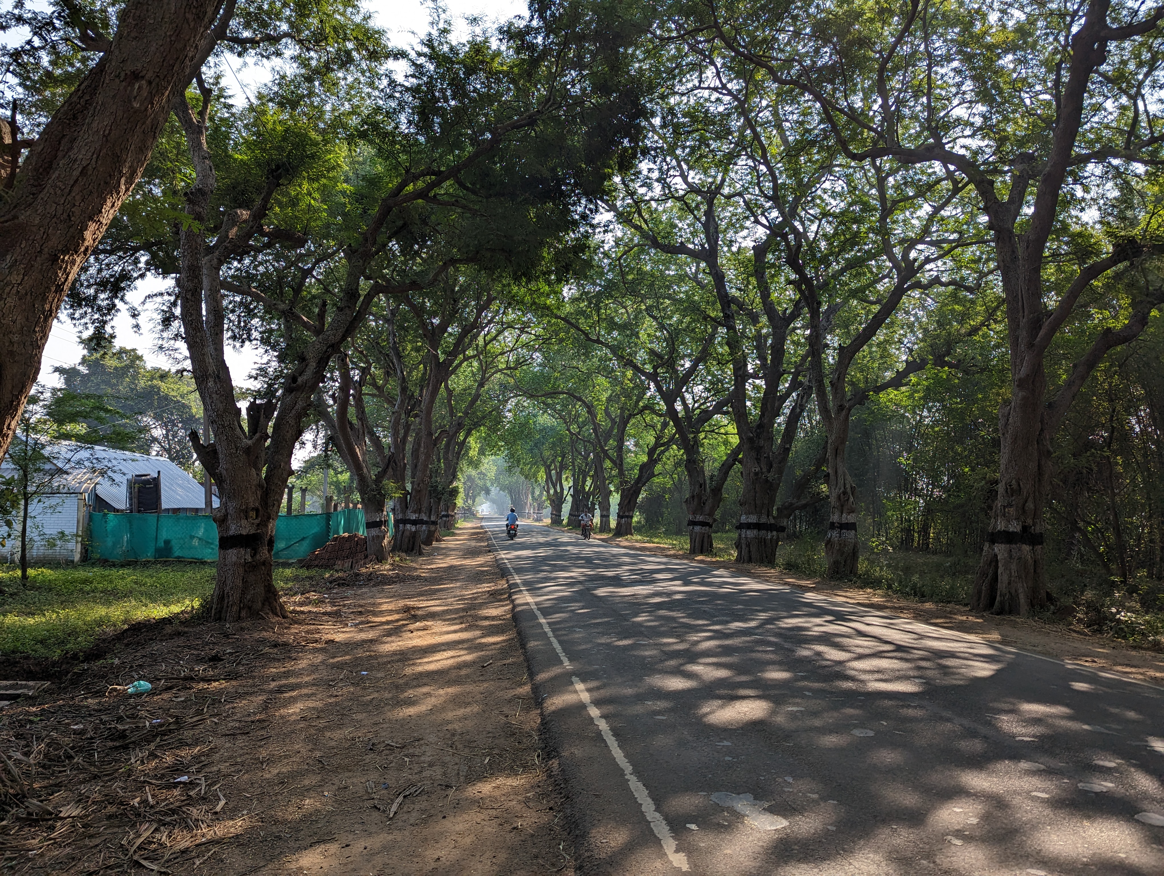 The old road from Kumbakonam to Chidambaram.