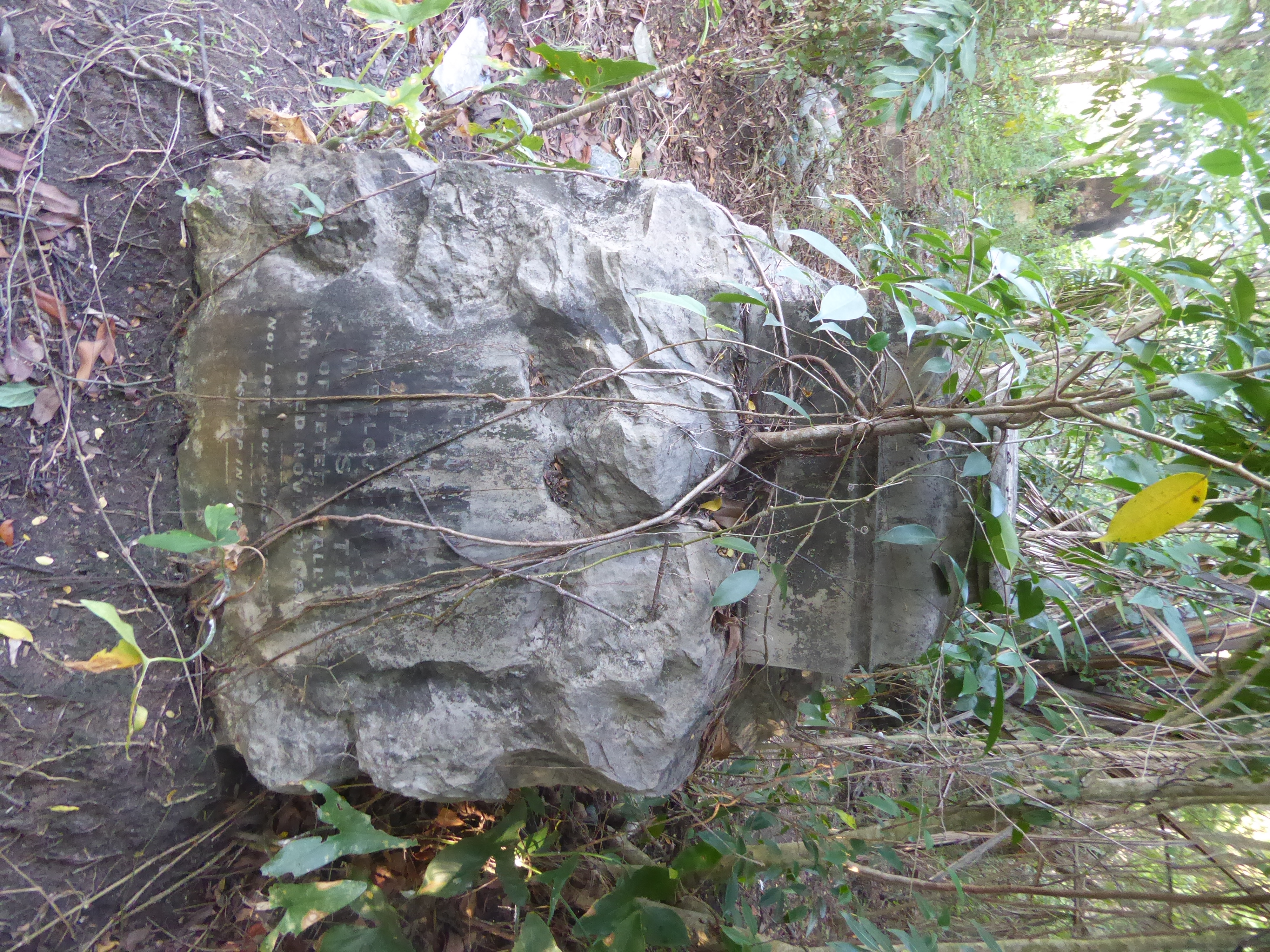 Here's a more-legible-than-most monument. It reads: "Mary?, beloved wife of W.D. Scott of Peter Hall who died Nov ?9th, 18?? Not lost, but g