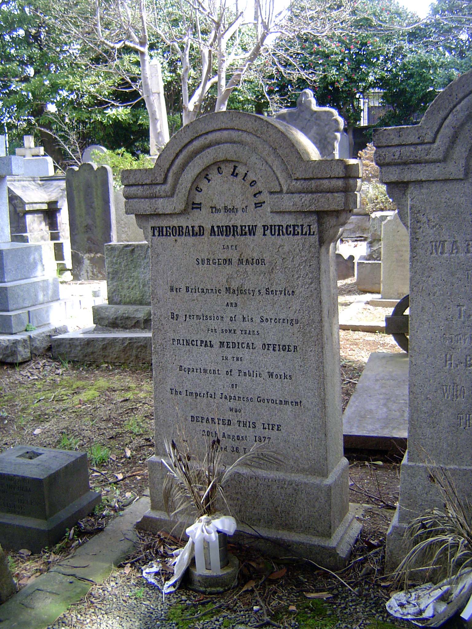 Here's a doctor deputed by Queen Victoria to serve the Japanese government. Under only his initials, T.A.P., Purcell also wrote Our Neighbor