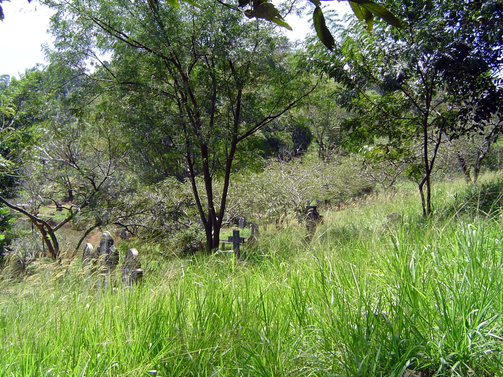 More than bucolic: it's pastoral in parts, which means you have to watch for snakes.