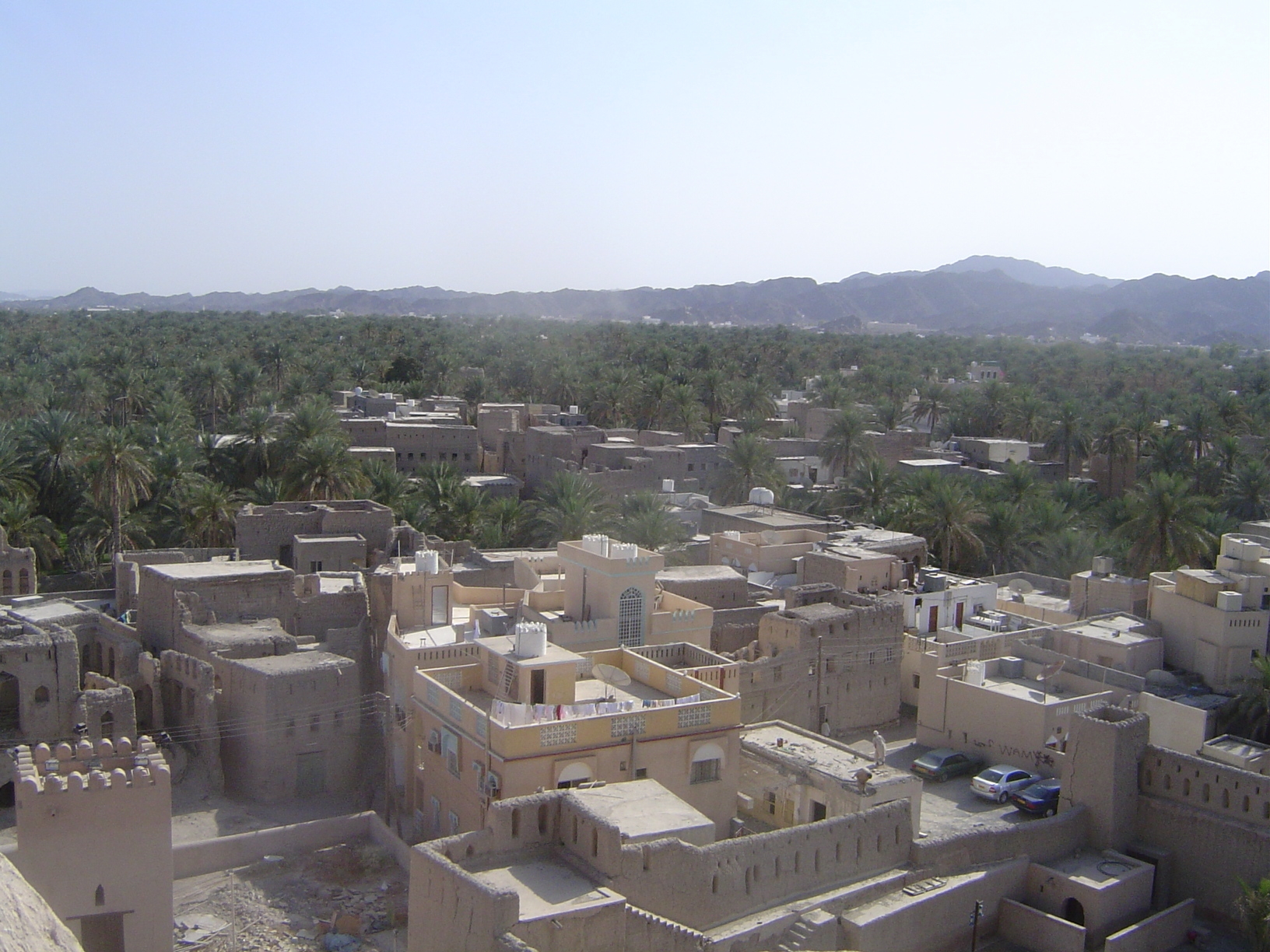 From the top of the fort, looking south over the oasis palms. The palms are watered by two major falaj plural aflaj, or irrigation systems.