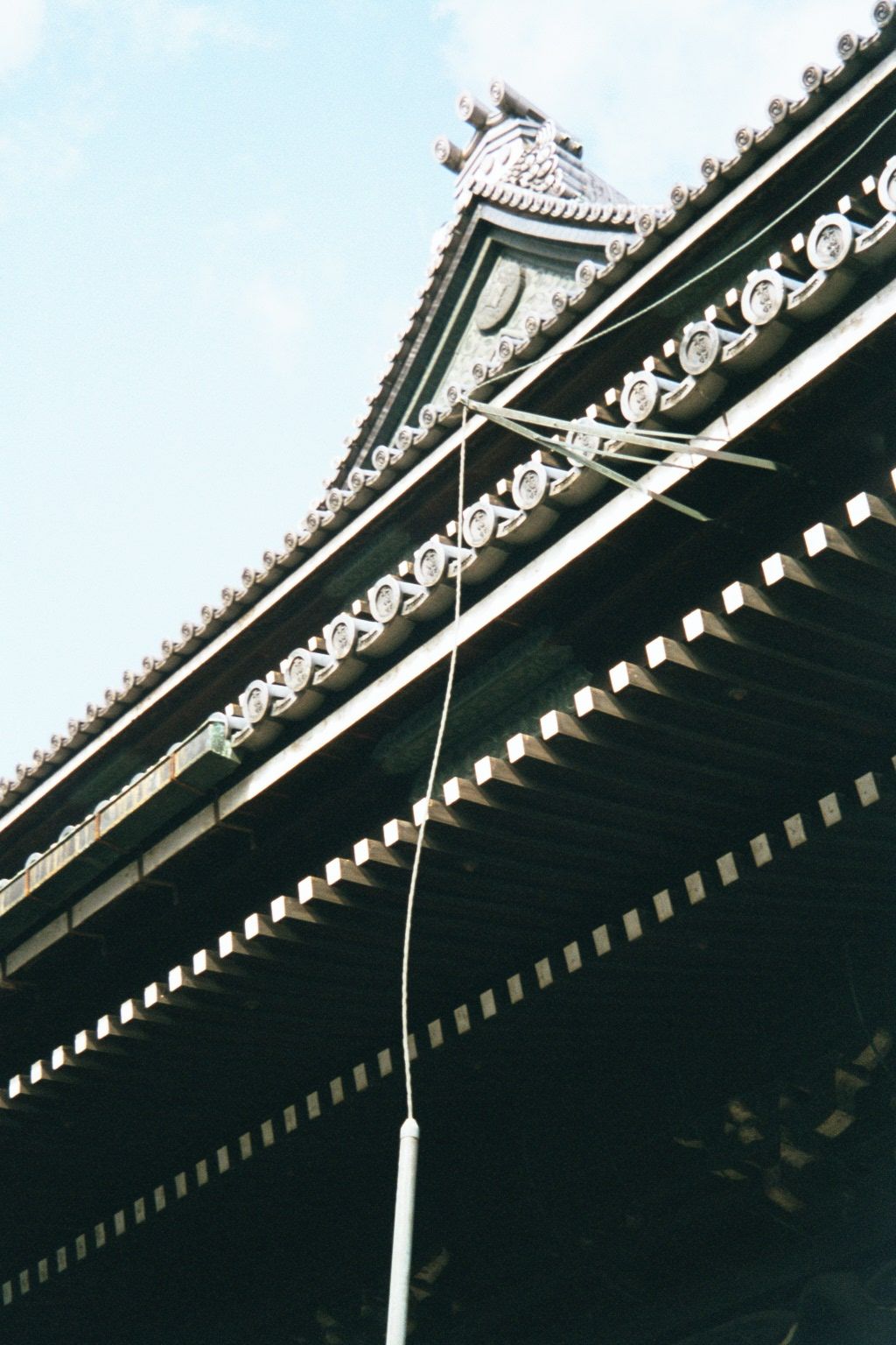 Roof, with lighting protector.