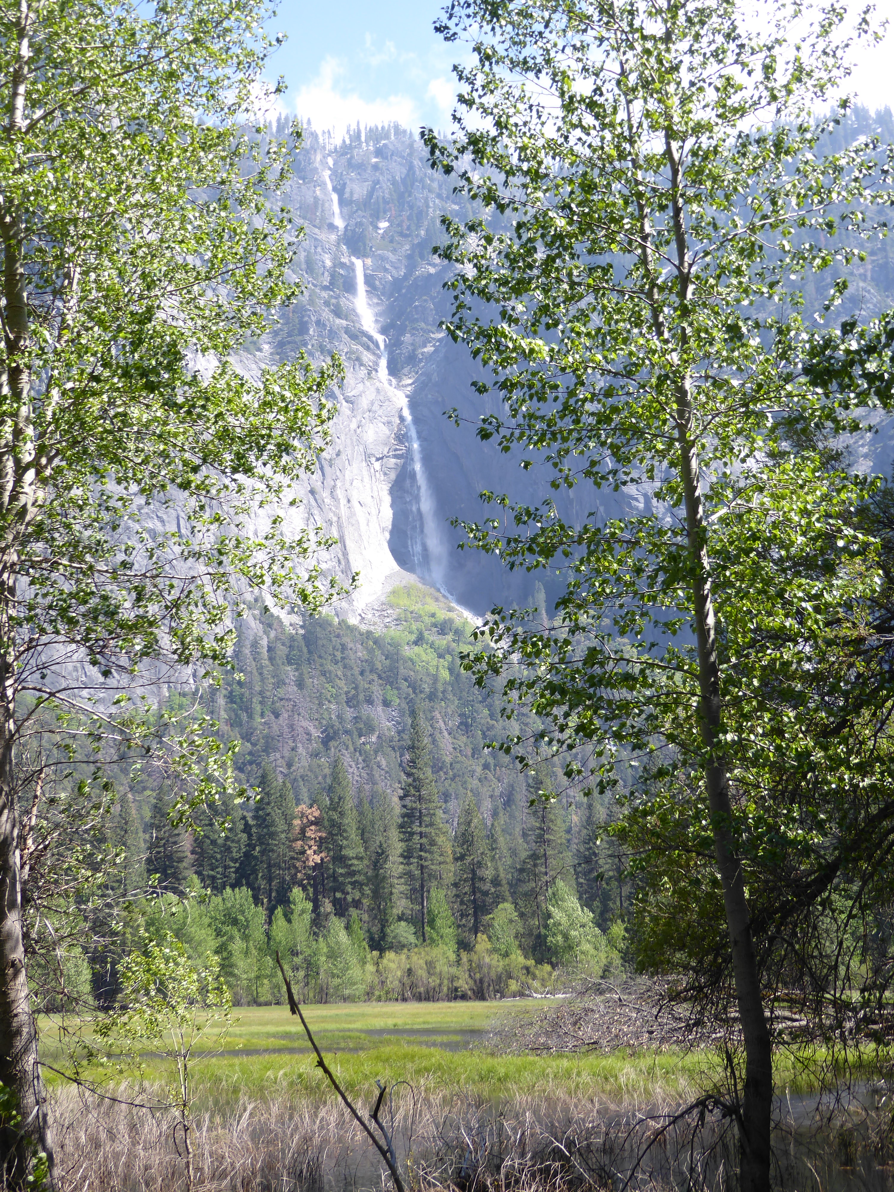 Ephemeral falls were busy, including this one, Sentinel Falls.