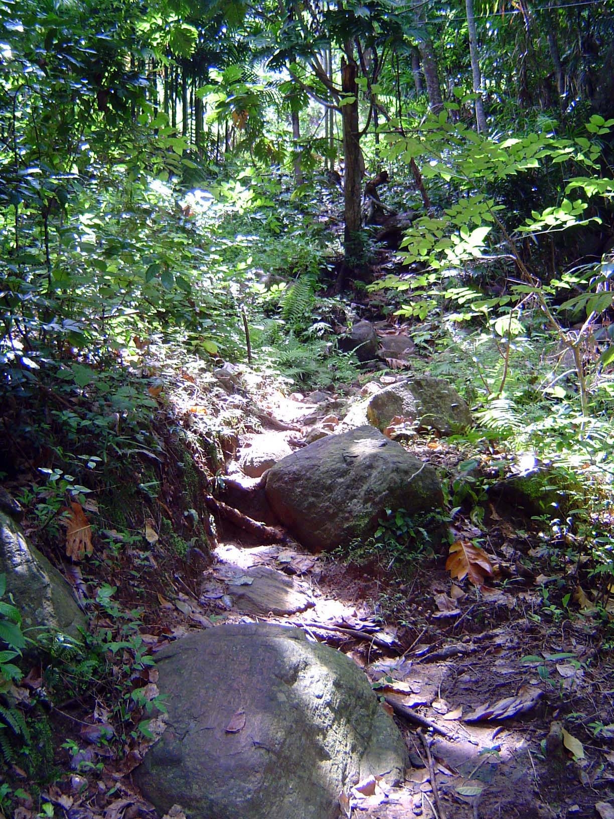 Paths parallel it, however.