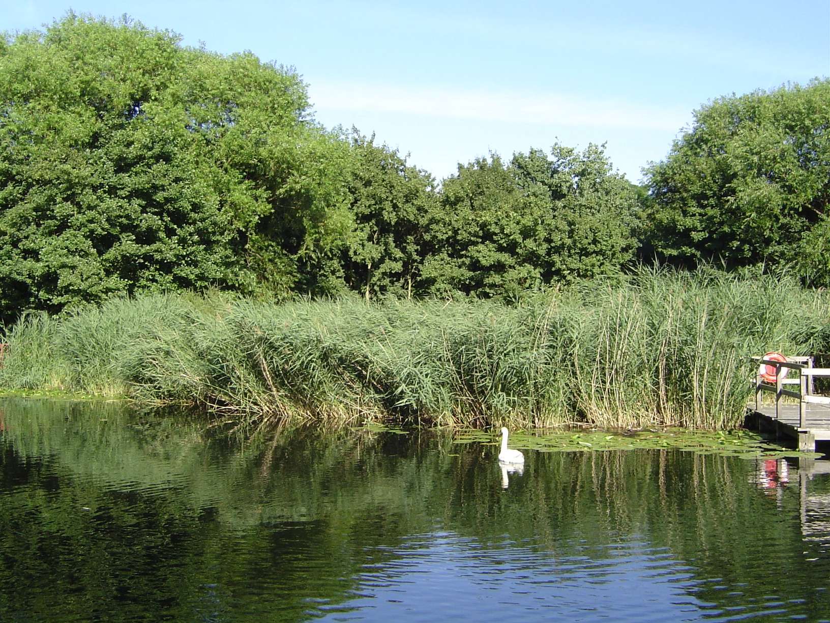 Would you believe we're less than four miles from the Houses of Parliament? We're in the middle of one of the meander lobes of the Thames. A