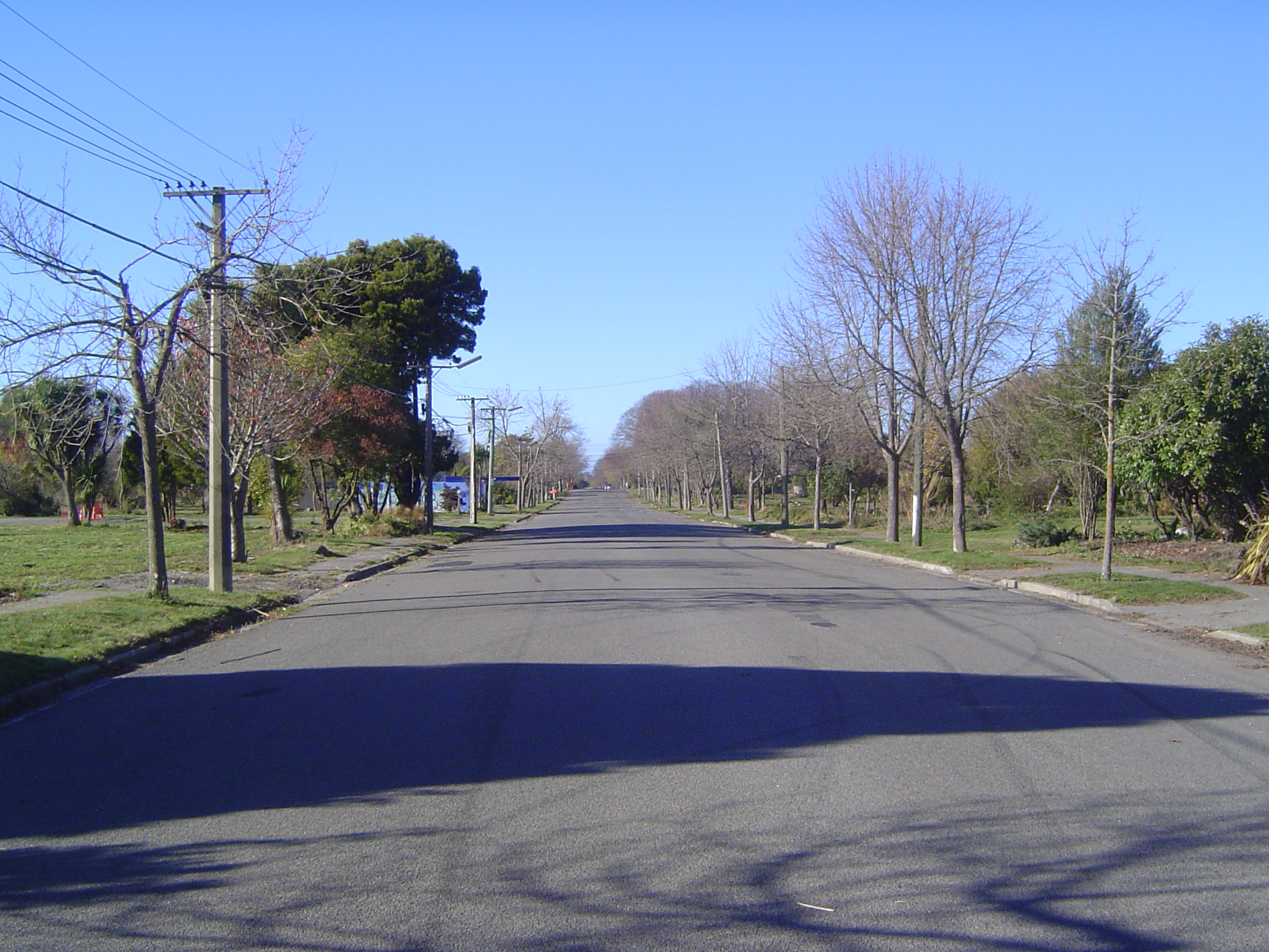 Whole streets lie abandoned, presumably destined for some kind of rewilding.