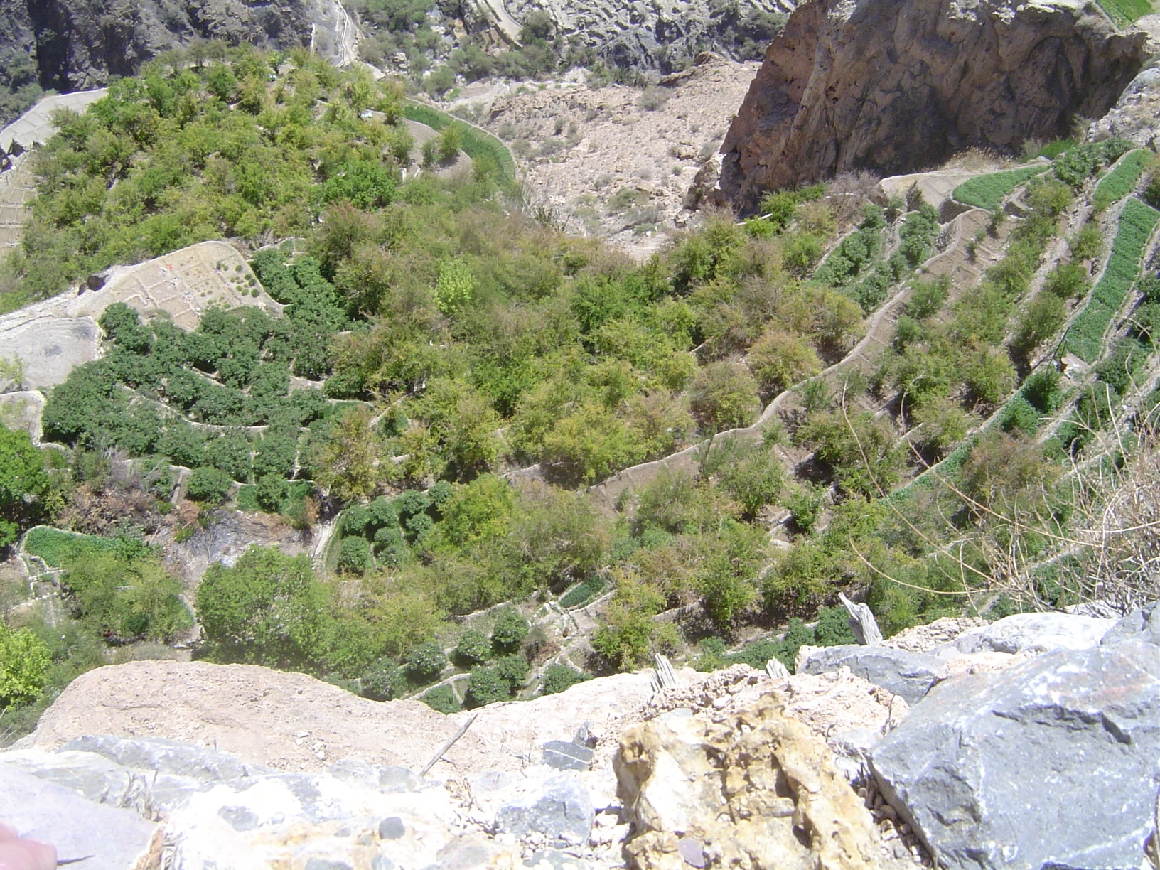 A more conventional view, straight down to Al Ayn's lower terraces.