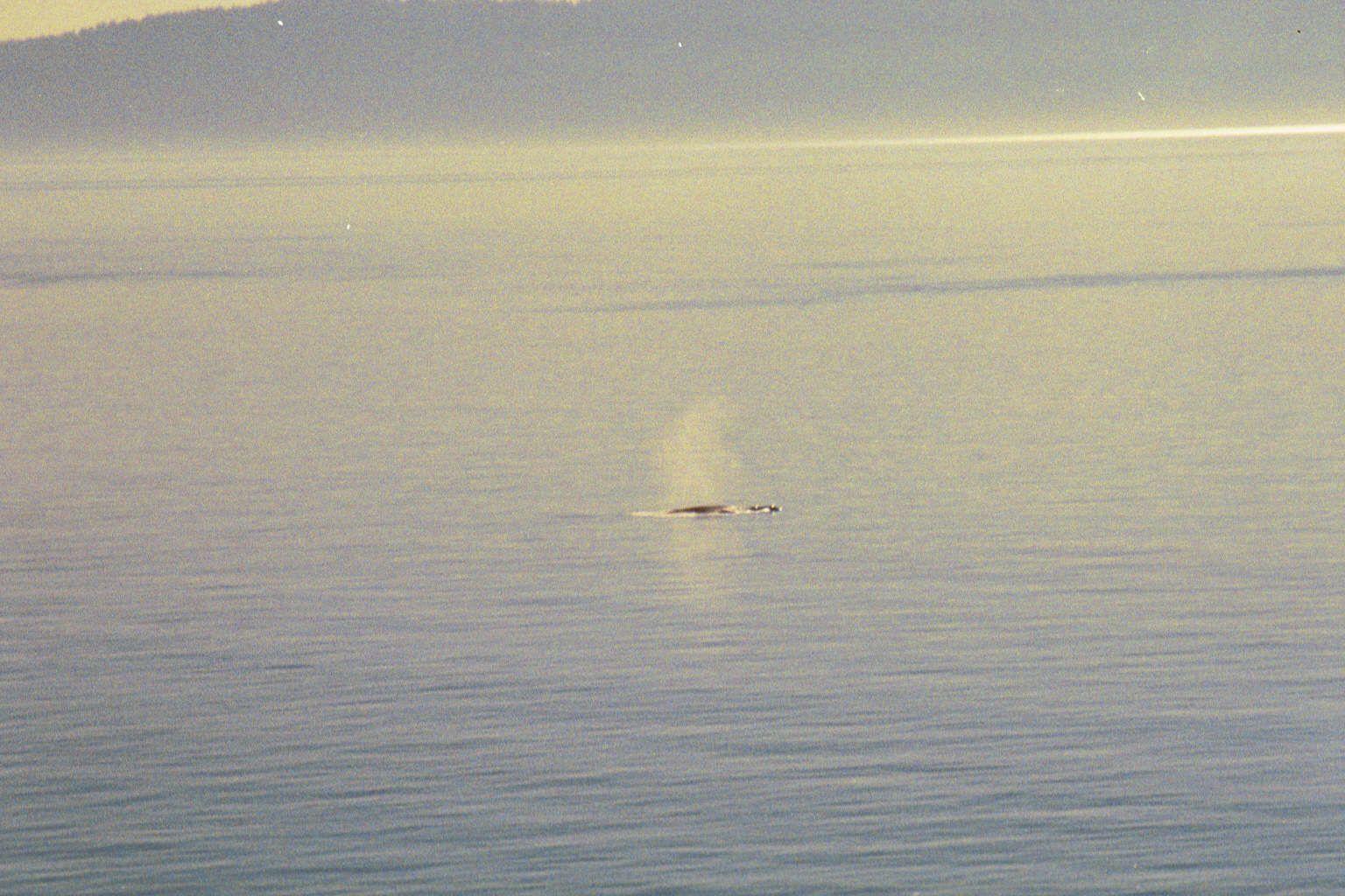 A little sharper.
