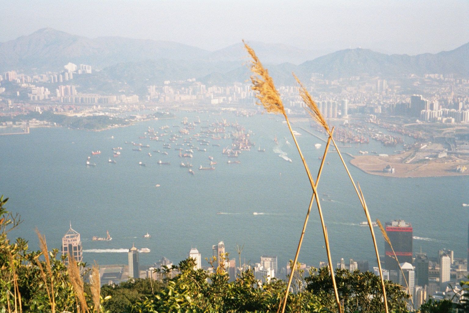 Panning right, the port facilities of Yau Ma Tei come into view.