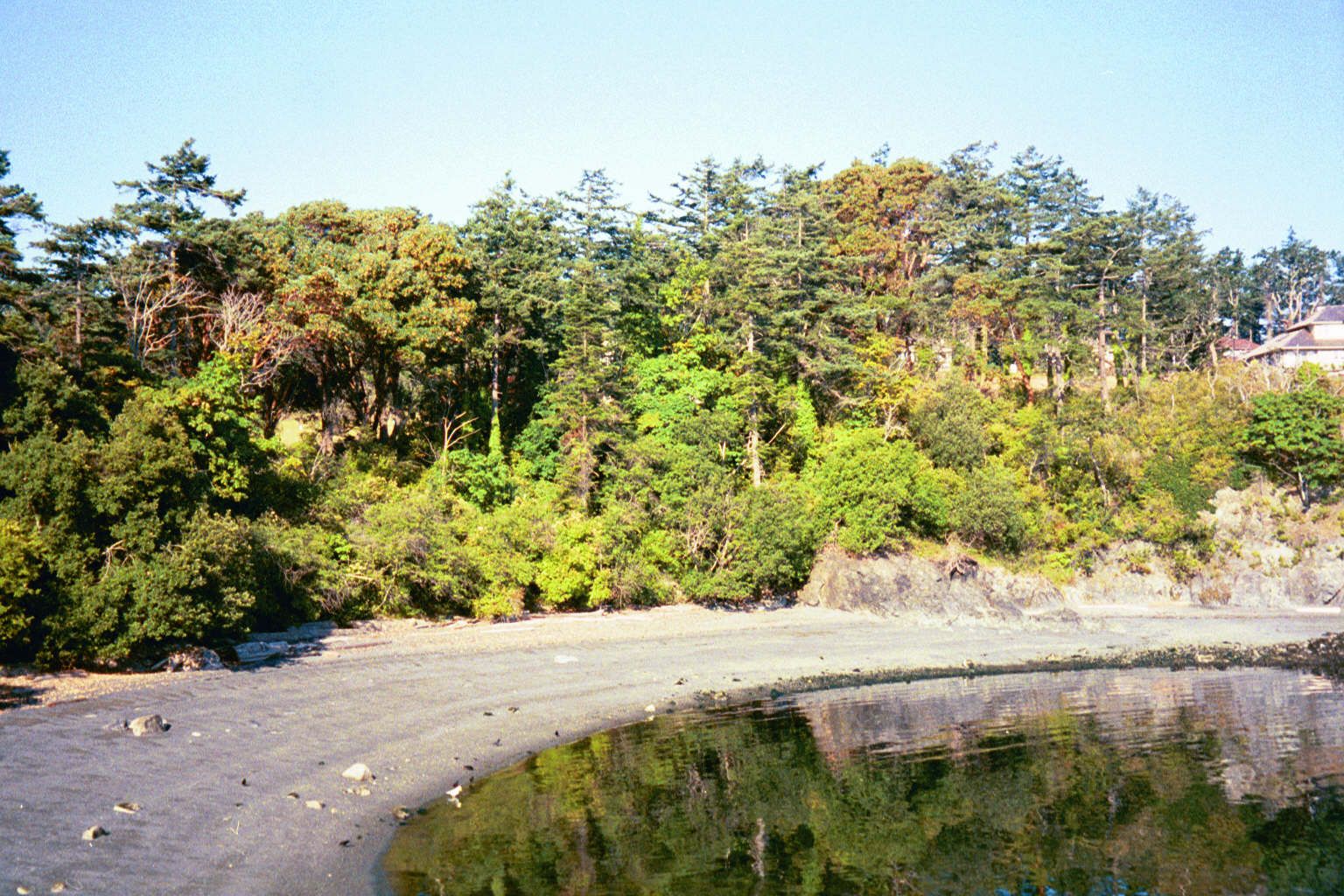 Looking back from the same beach toward the new housing development, an edge of which can be seen.