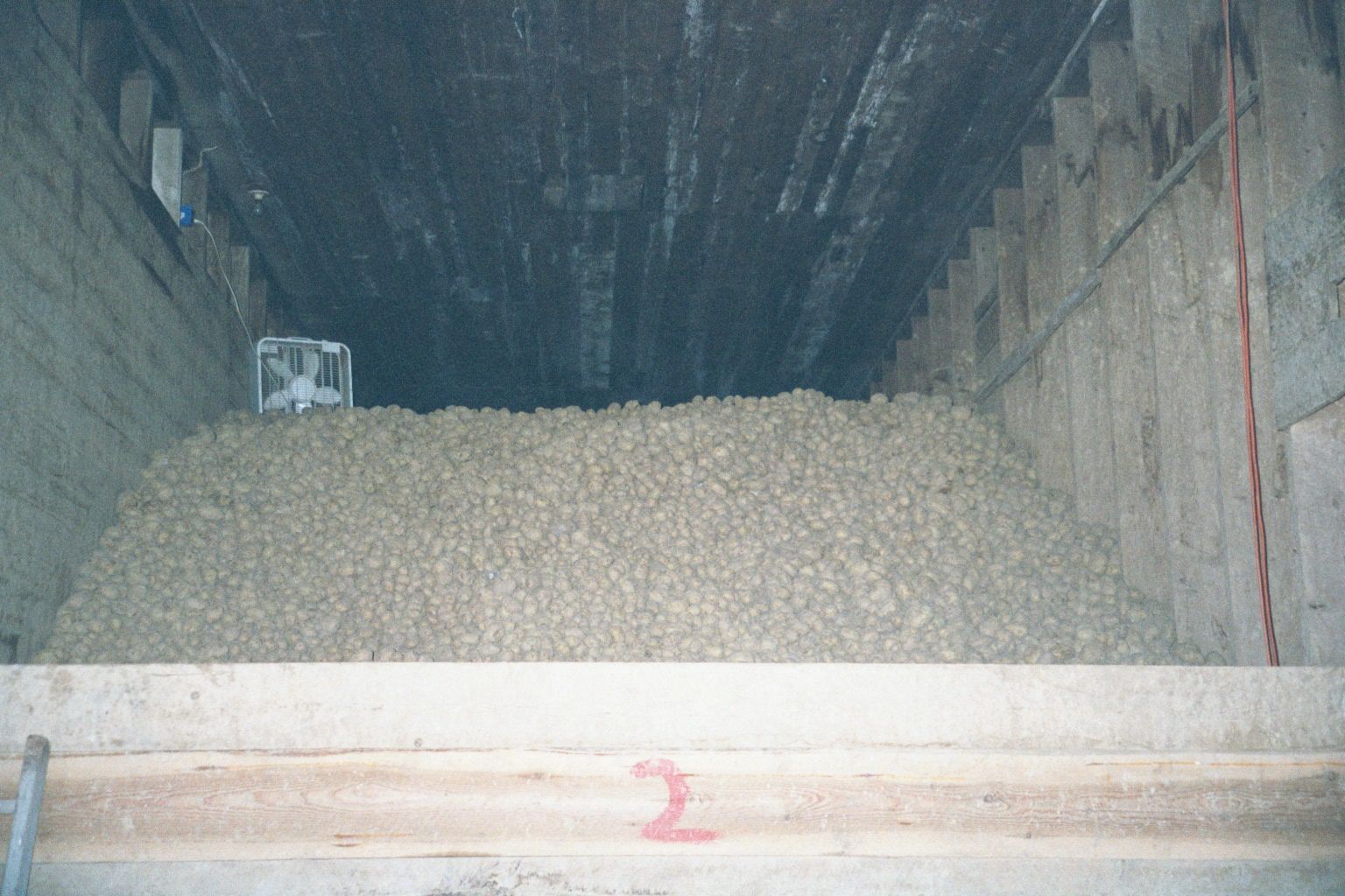 Close-up. The room is cold, but not freezing. The smell is musty; the potatoes, almost rock hard.