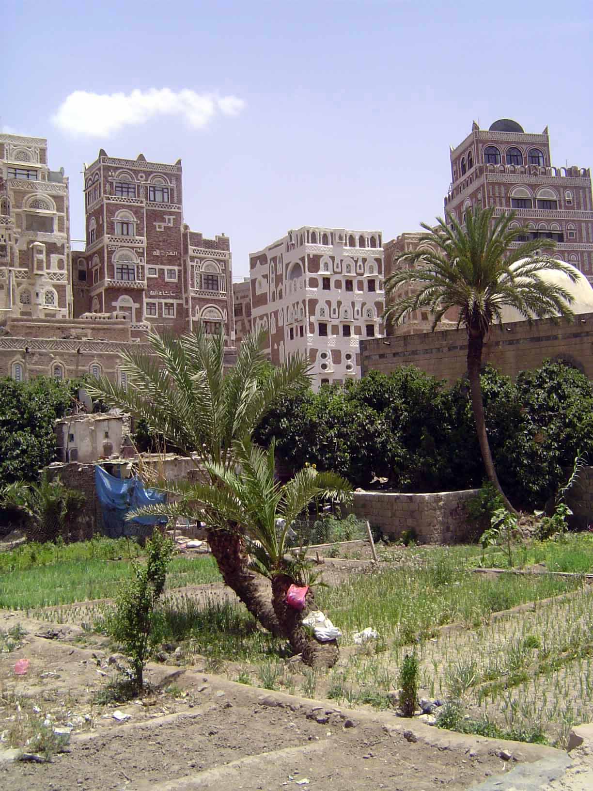 Gardens, now semi-abandoned, used to provide residents with fruit and vegetables.