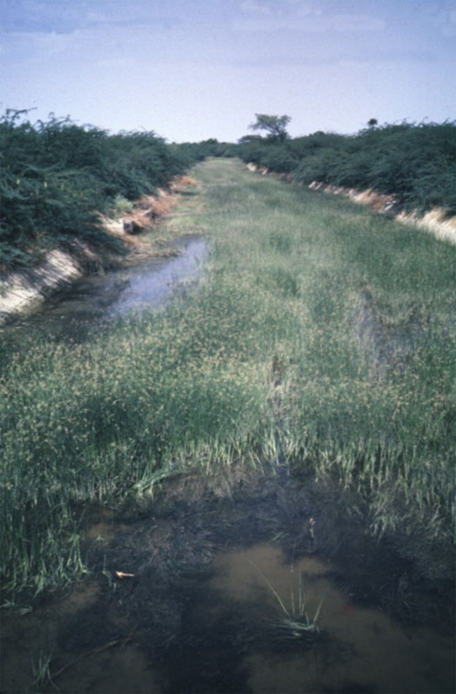 A grander version of the same kind of irrigation system: this is the Asif Nahar, a 60-mile-long canal that diverts water from the Musi River