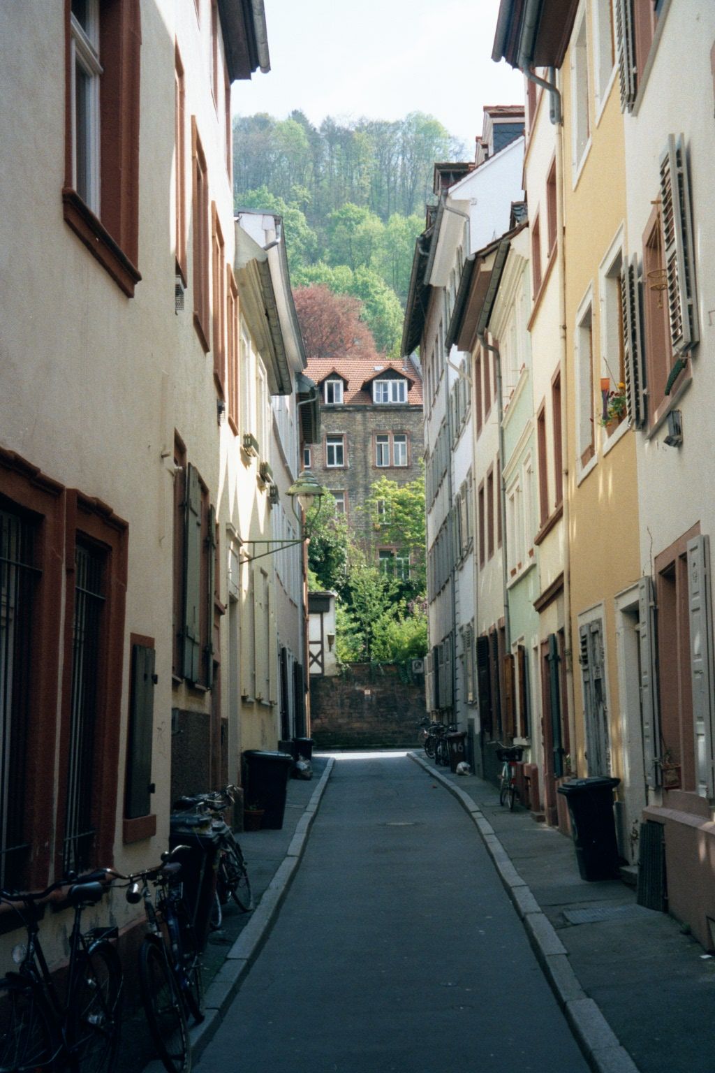 The streets perpendicular to the river tend to be very narrow—and antiseptically clean.