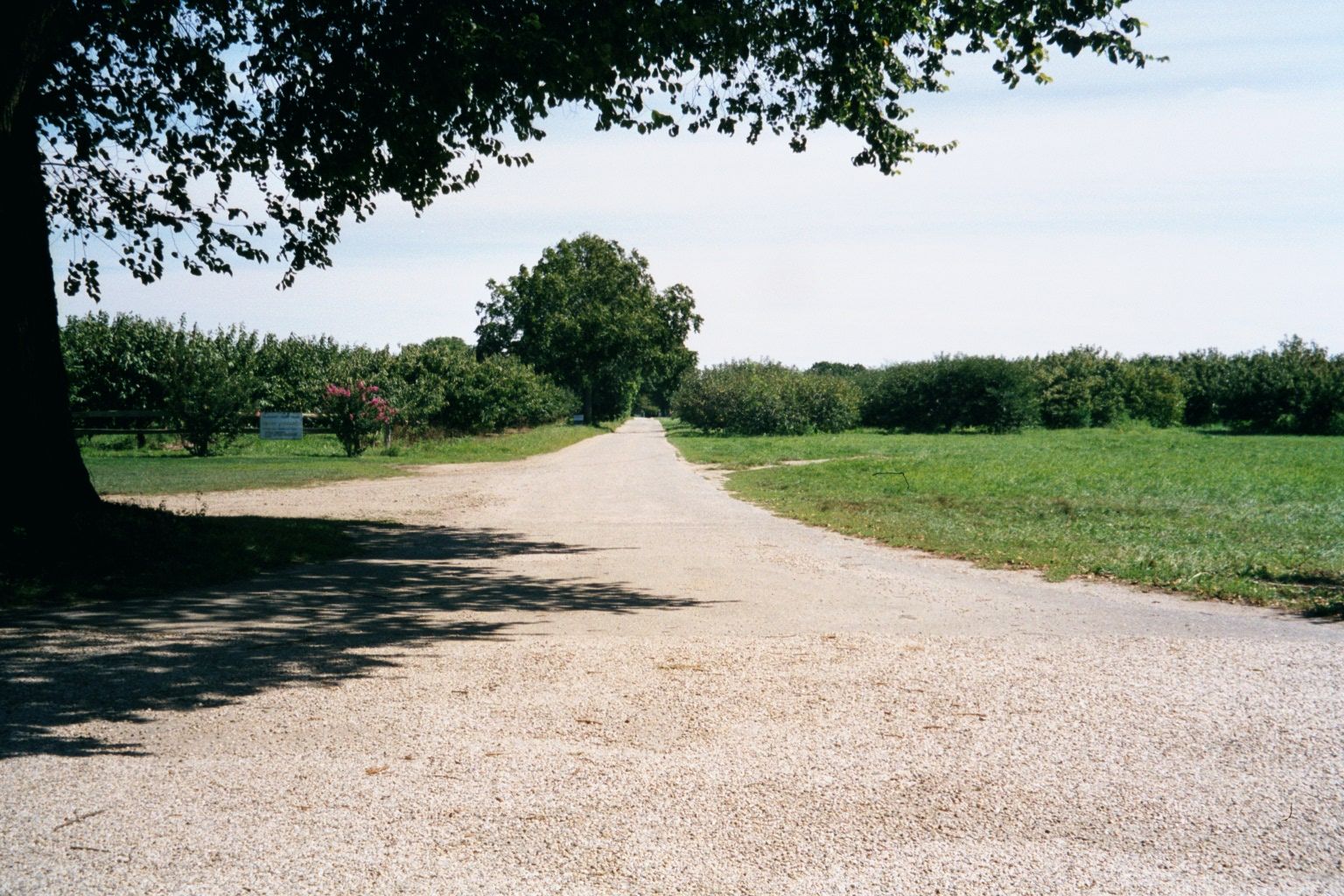 Primeval road on that farm.