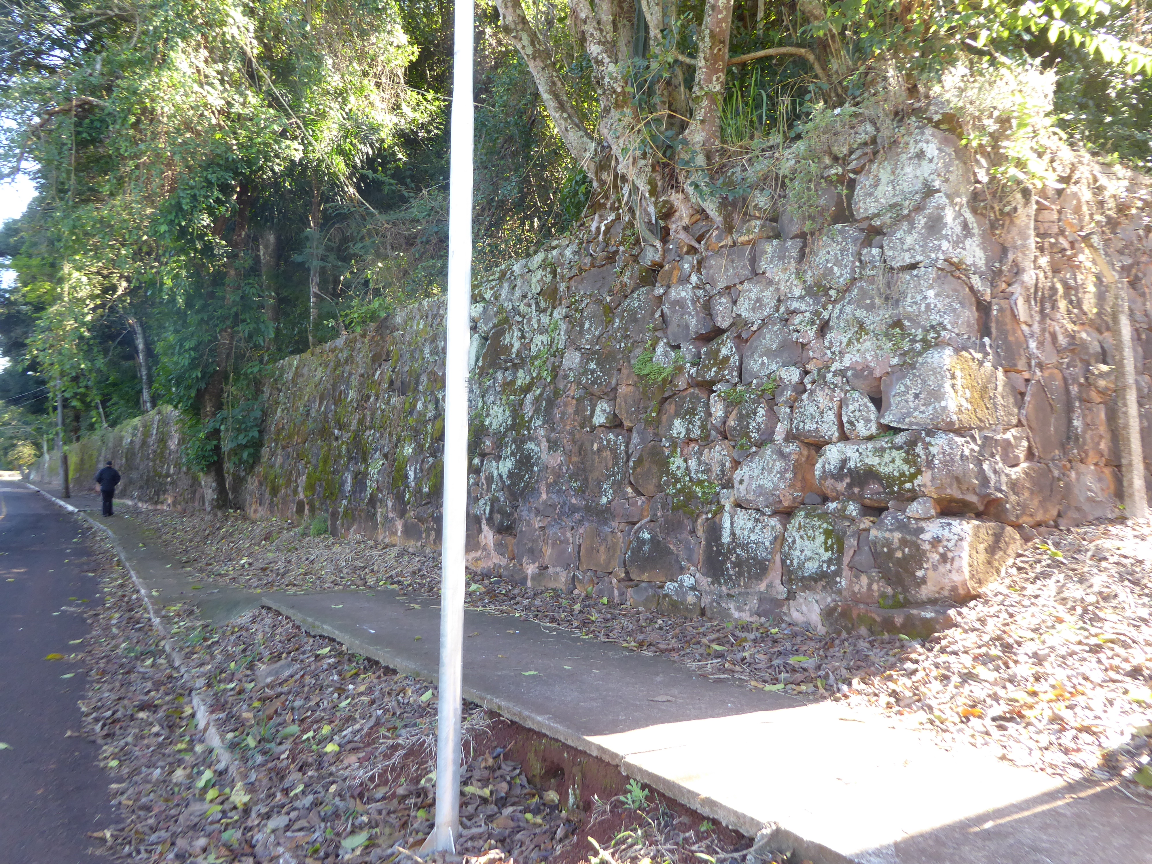 Just a wall, but what a wall. Whatever was up top is now buried in forest.