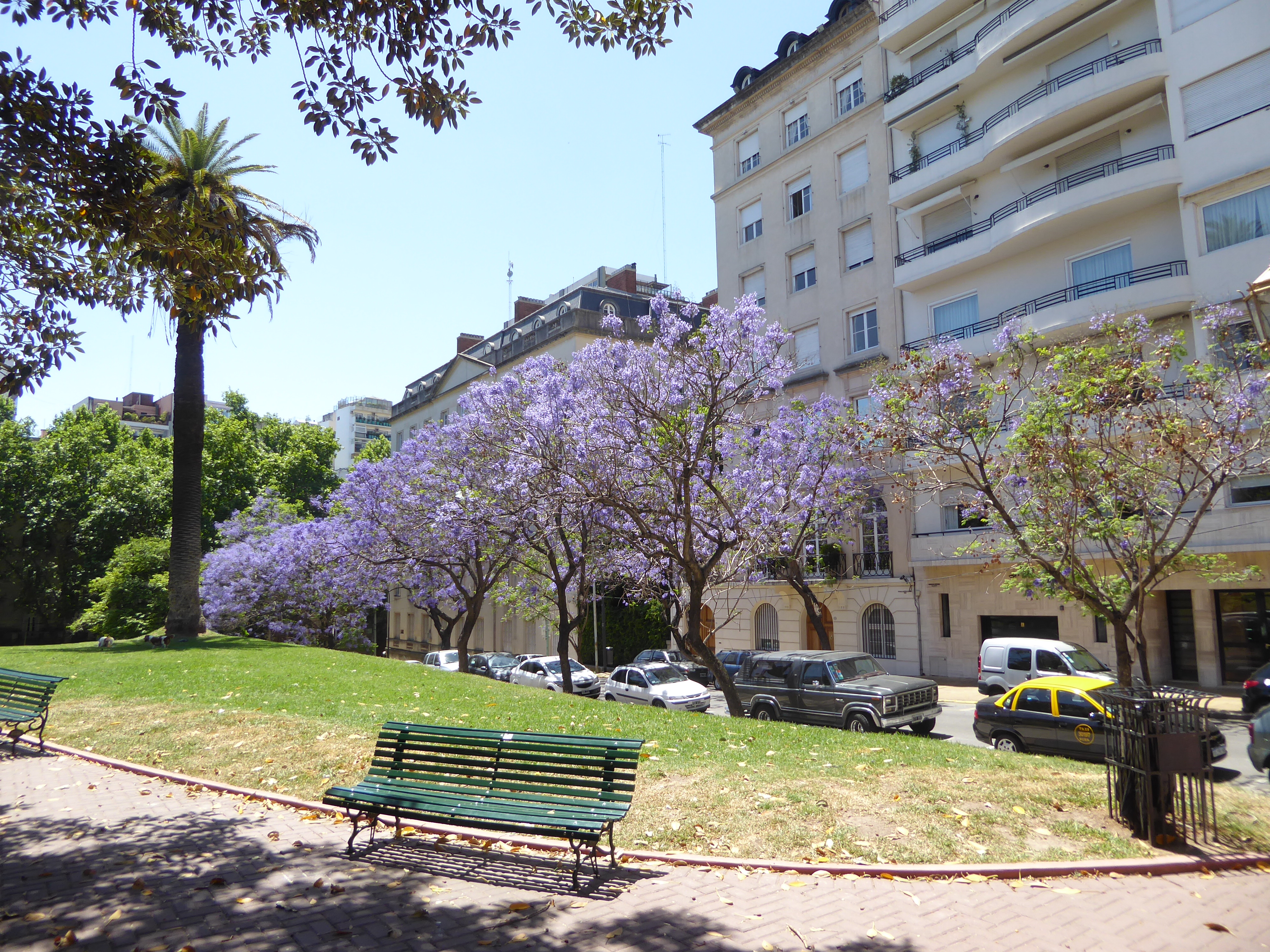 A few are lucky enough to have a view of palms and jacarandas, but they still have to put up with neighbors.