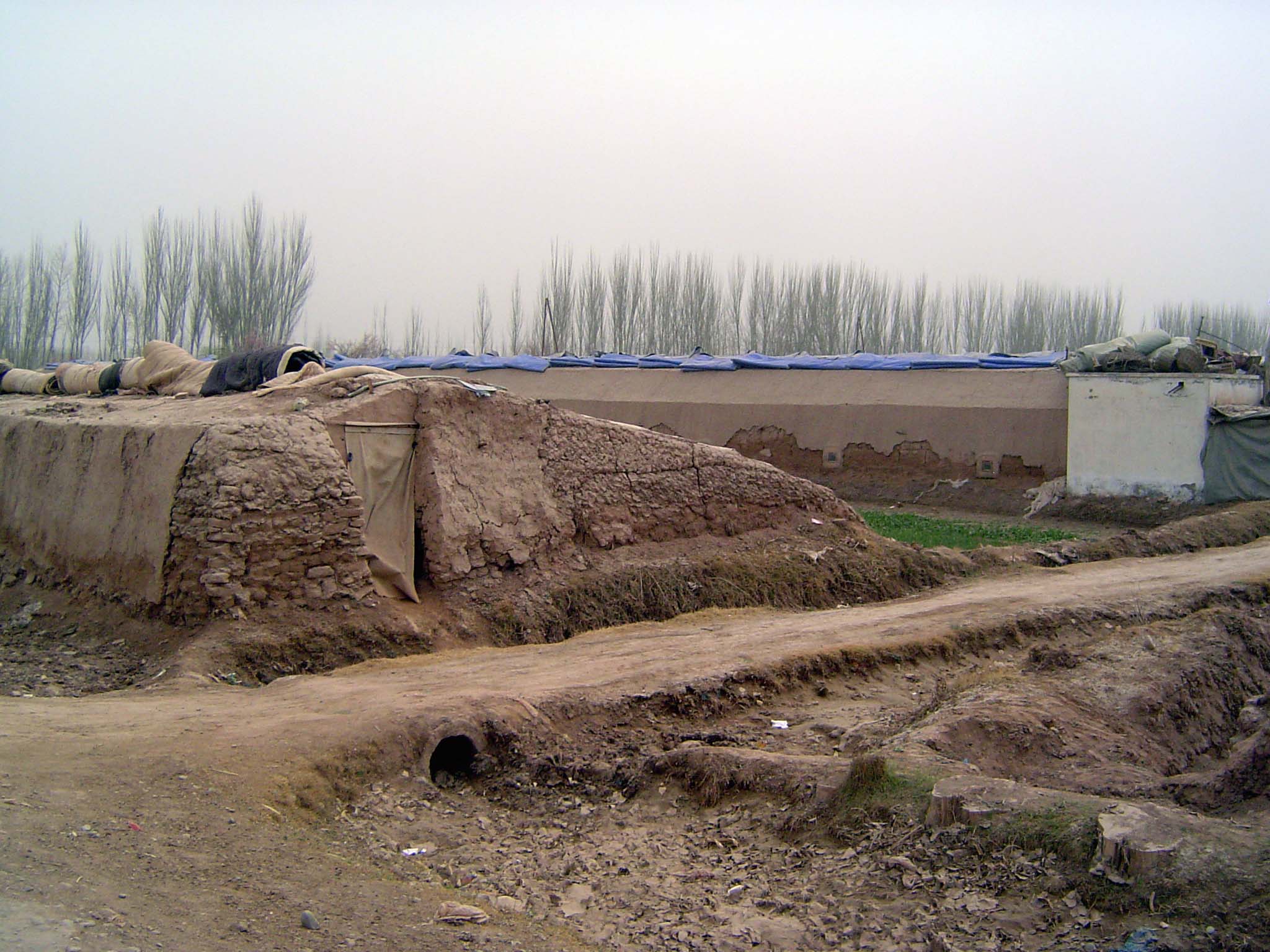 Greenhouses; the north side is solid; the tapered south side is open but with roll-up covers.