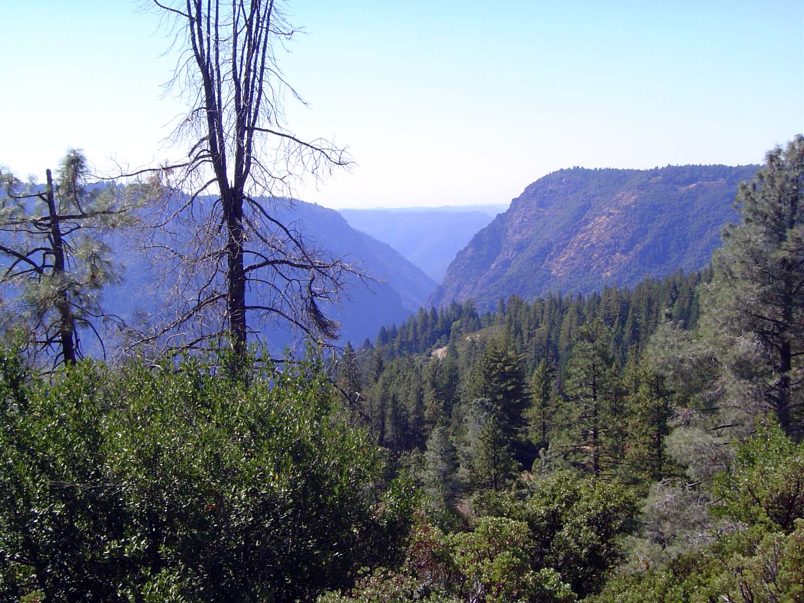 A few miles past Dutch Flat, the railroad hugs the north side of the American River Canyon, which here is about 2,000 feet deep.