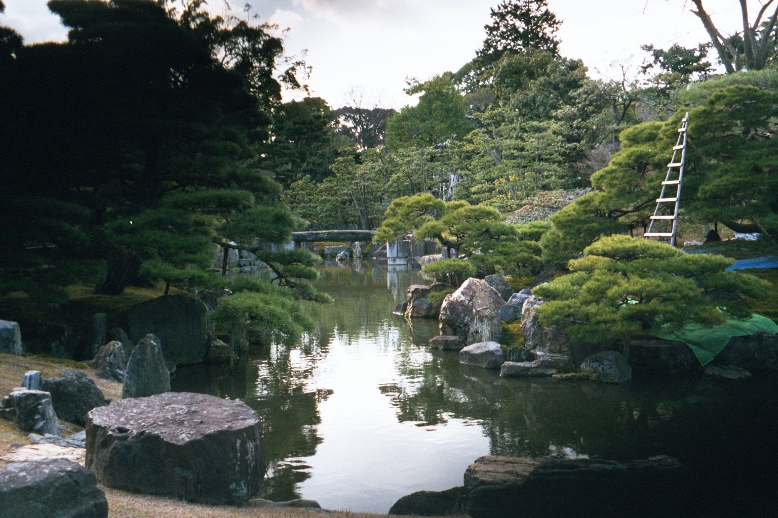 The palace garden is a paradise garden, with stones given as gifts to the shoguns. The trees are a recent addition, because falling leaves i