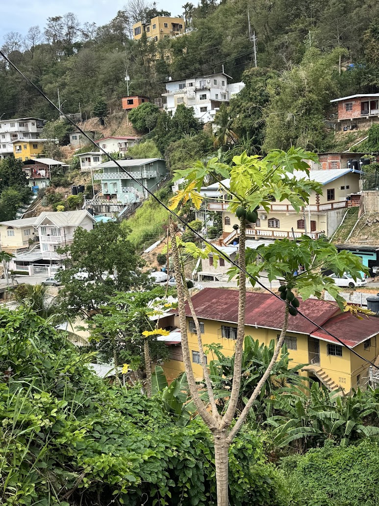 Houses are packed tightly.