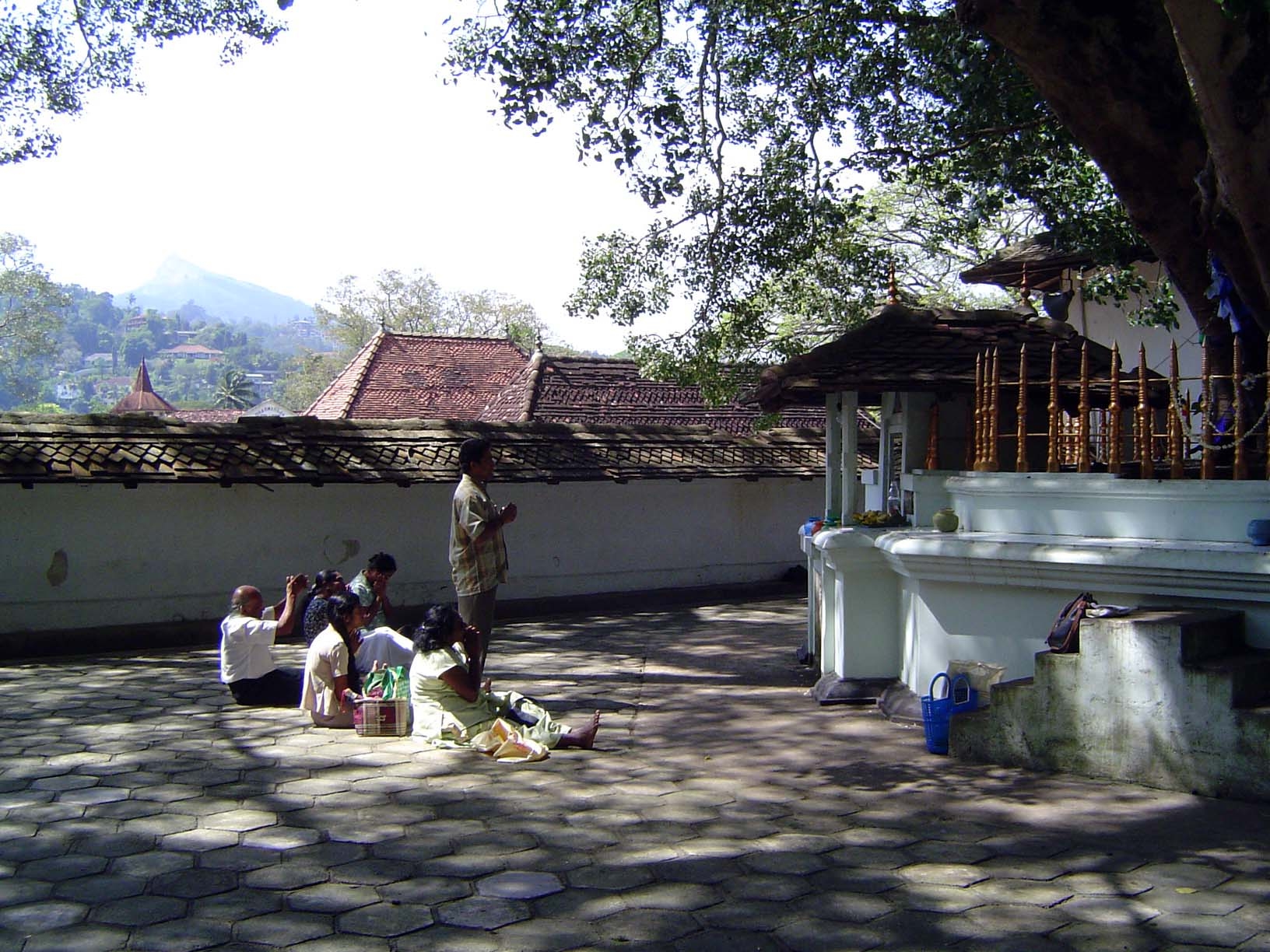 Outside, there's a small bo-tree shrine.
