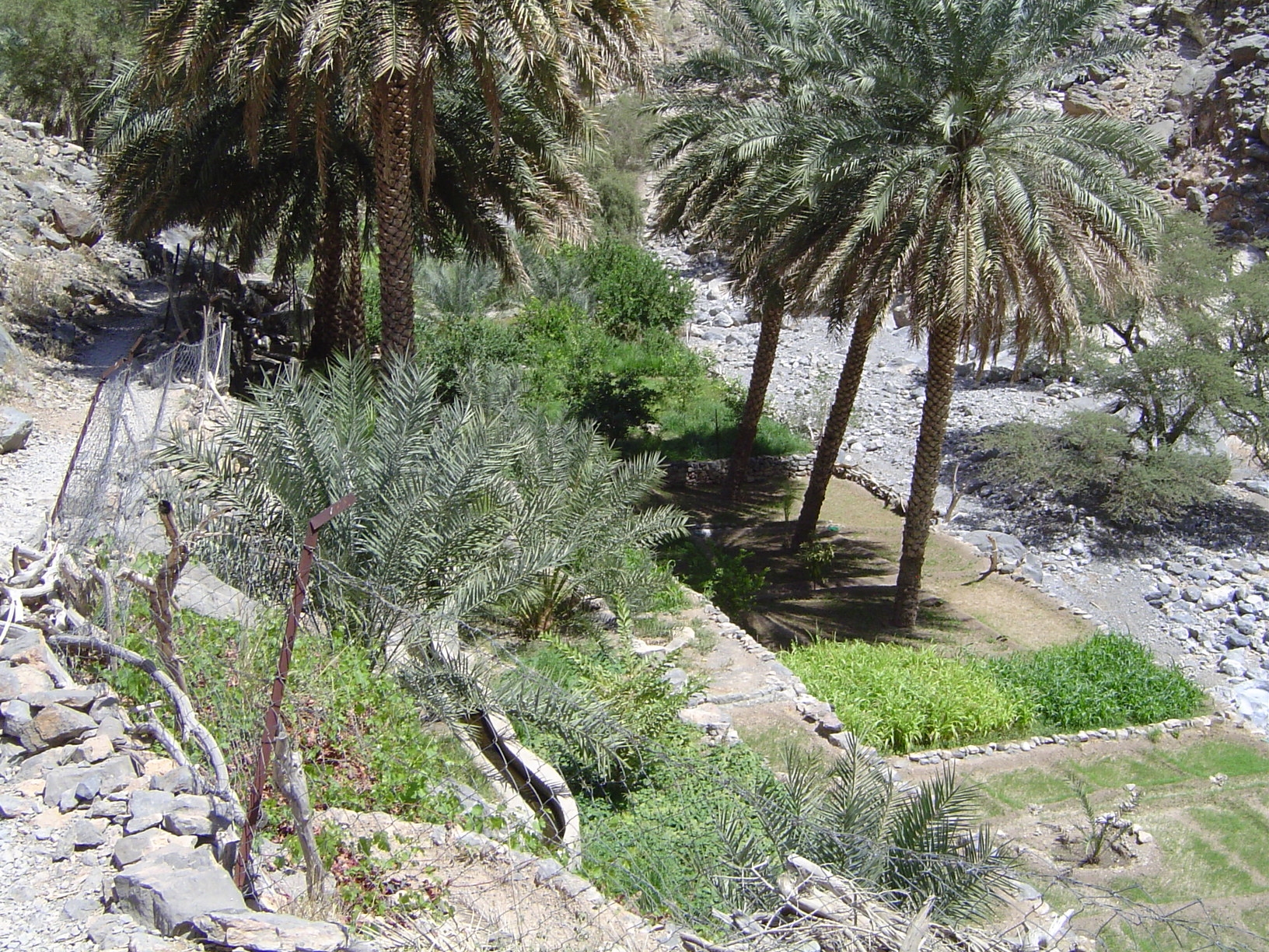 Cross-section from footpath down across arable land to wadi floor.