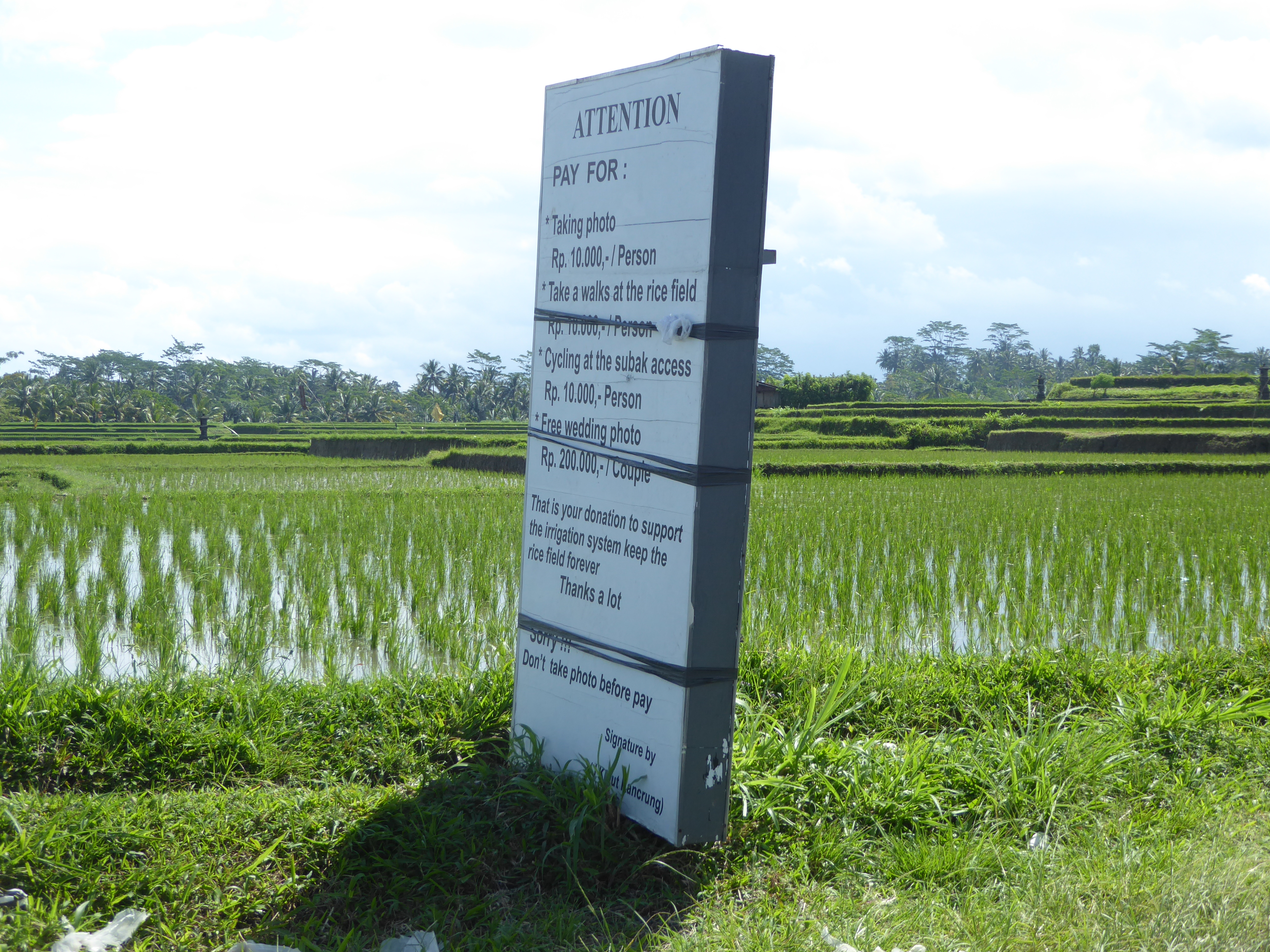 Other sources of income? Here, at Sebali/Keliki, just above Ubud, one village has decided to make tourists pay to look. "Smart," one may say