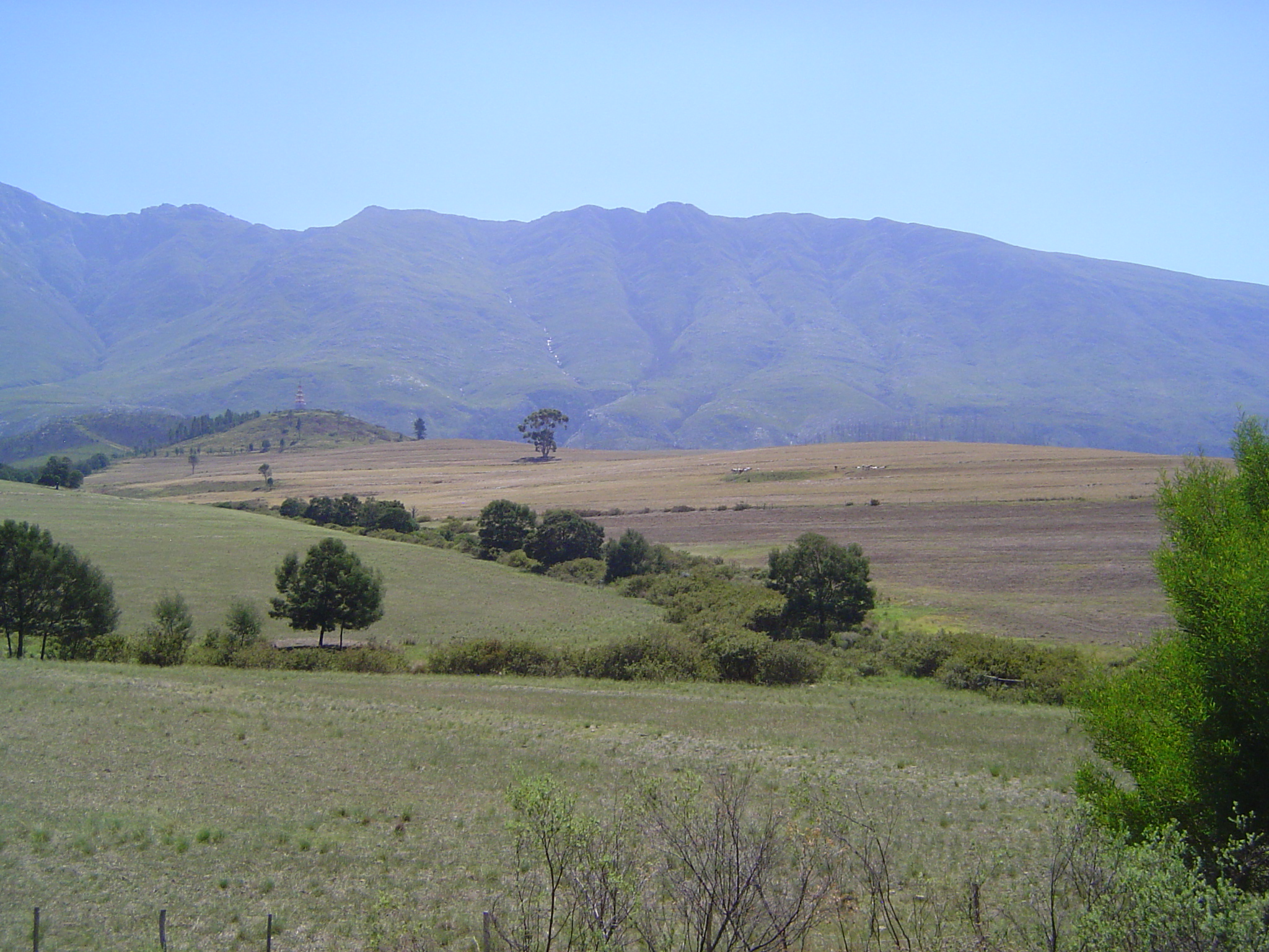 Eventually we bump into another mountain, the Langeberg, or Long Mountain, an anticlinal ridge of Table Mountain Sandstone. The Dutch East I