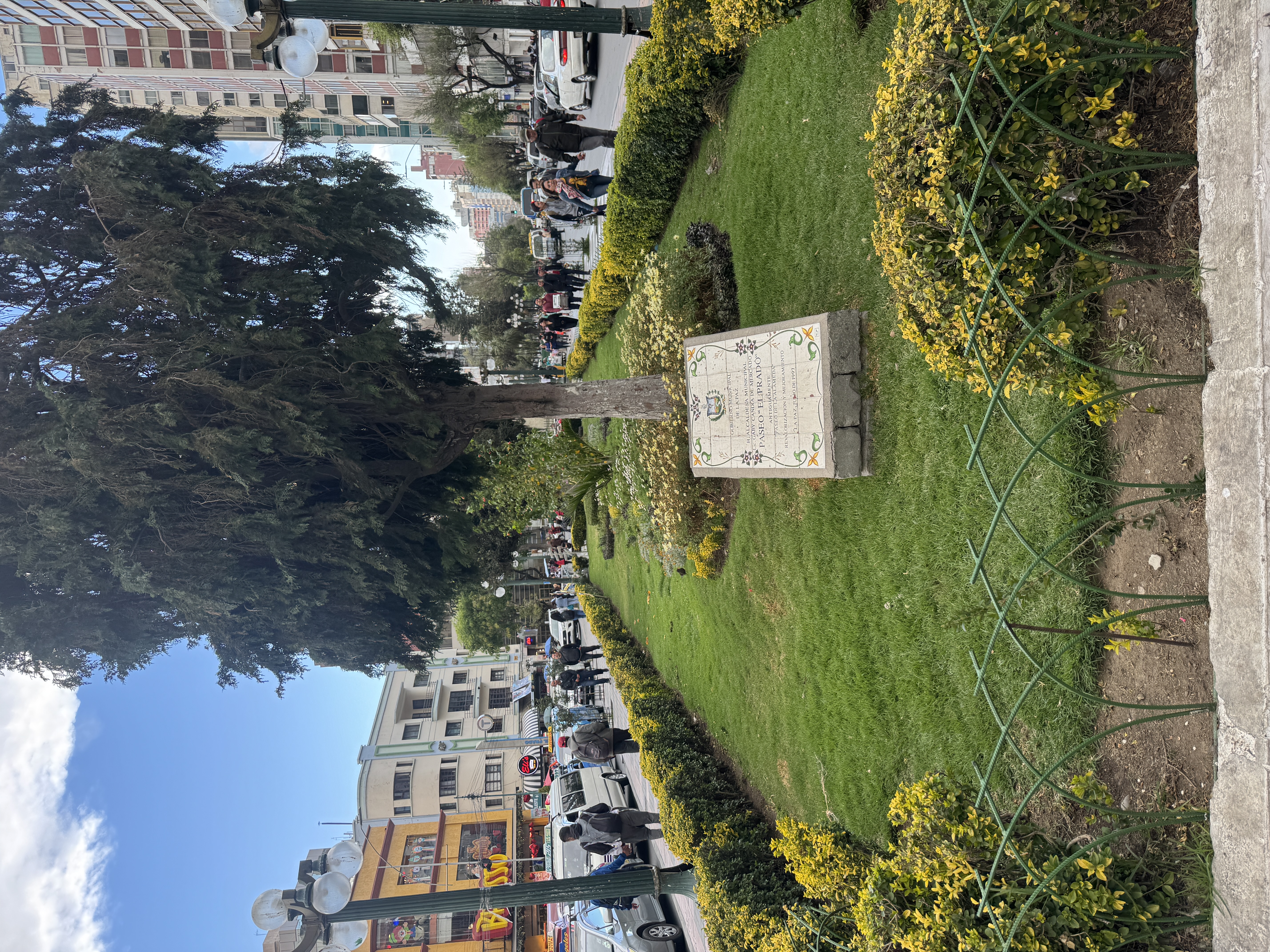 Like all French wannebes, La Paz built a grand avenue.  It's called the Prado and offers a landscaped median running through the Av. 16 de J