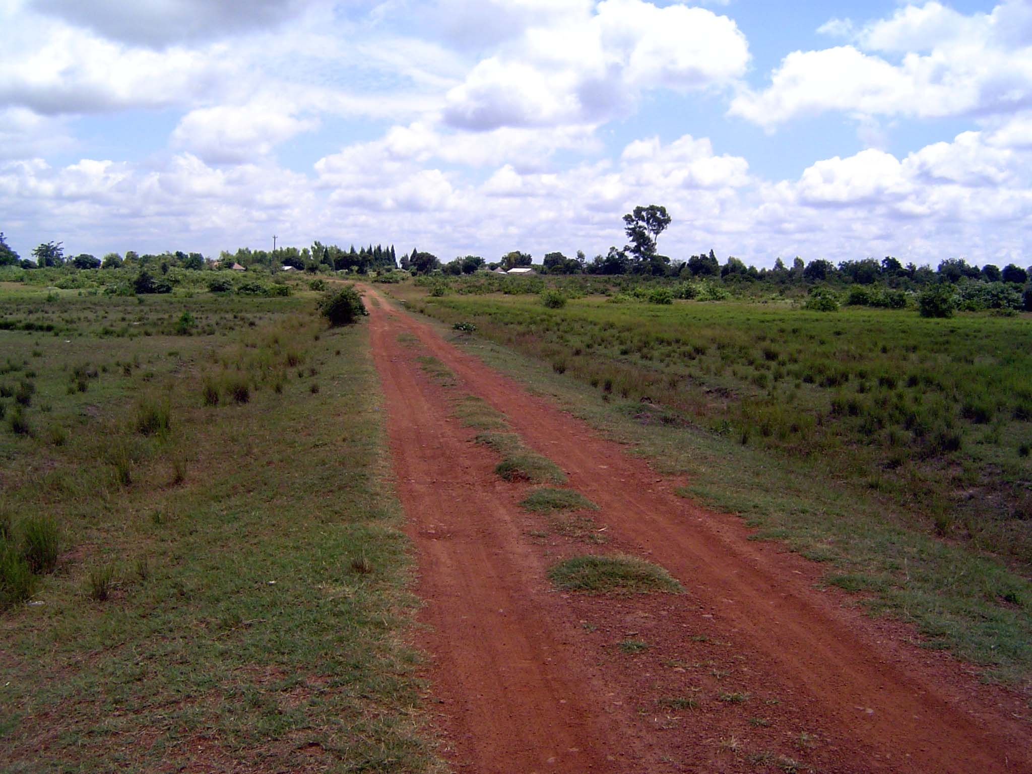 On the other hand, the vegetation ten miles south of the capital hinted at abandoned cropland.