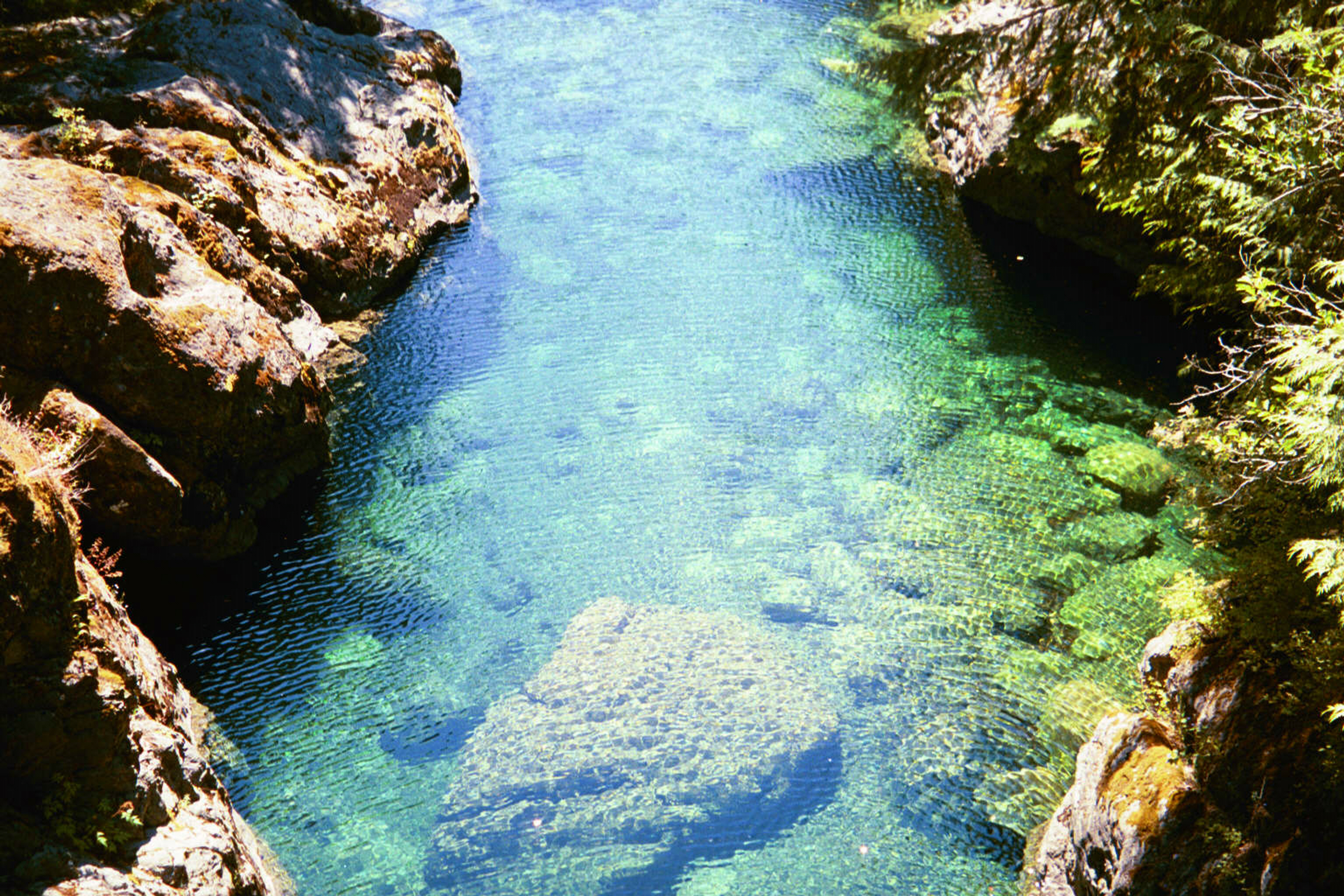 The water is intensely cold, deep, and amazingly clear, considering how much logging has taken place upstream. Wouldn't you expect a river c
