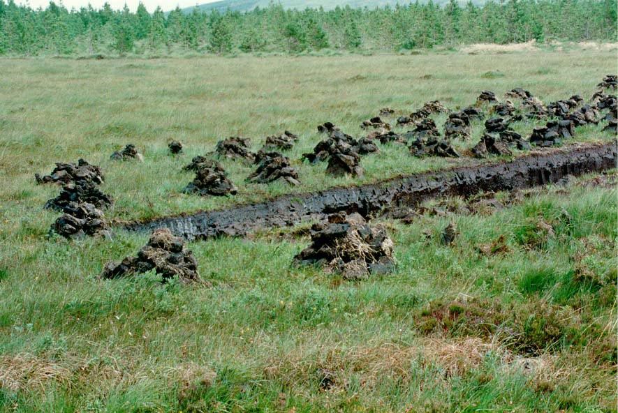 Old photographs show peat stacked outside crofters' houses. The stuff is still being cut.