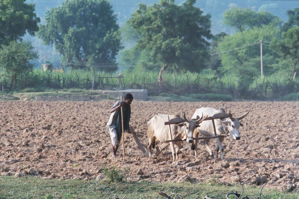 Down below, the earth fattens with the approach of the Ganges lowlands.