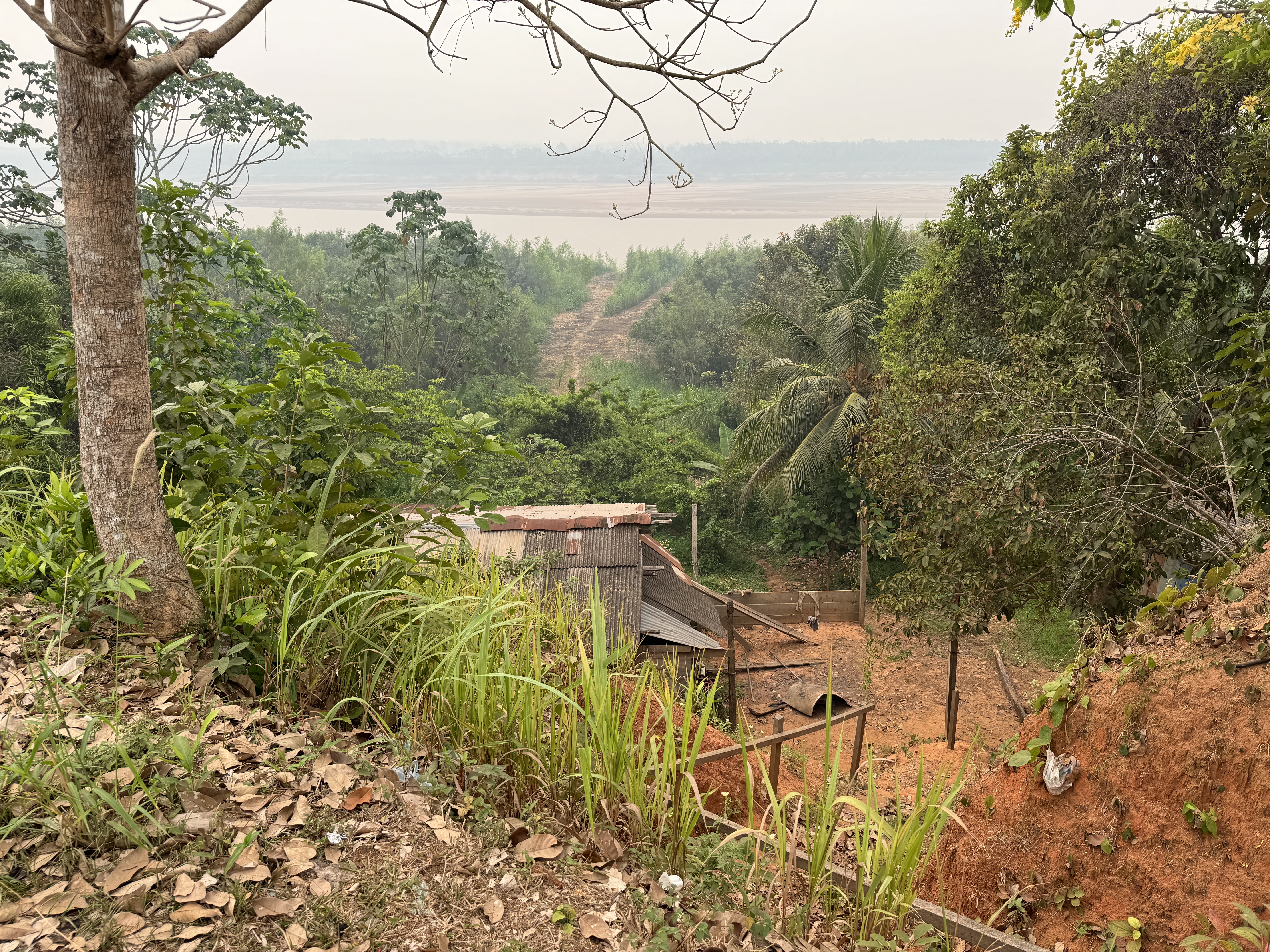 Two more surprises.  We're on the bluff overlooking the Beni.  Behind us is...
