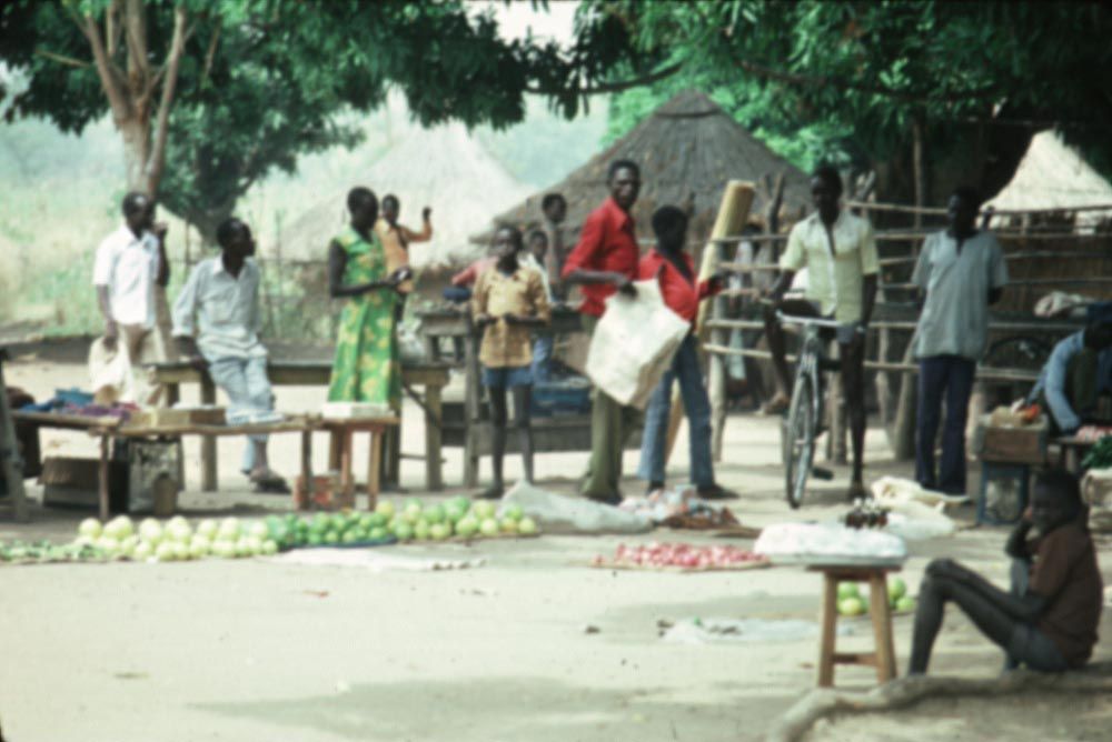 A local market. Grapefruits are a Sudanese specialty, especially if customers tolerate a great many seeds in exchange for intense sweetness.