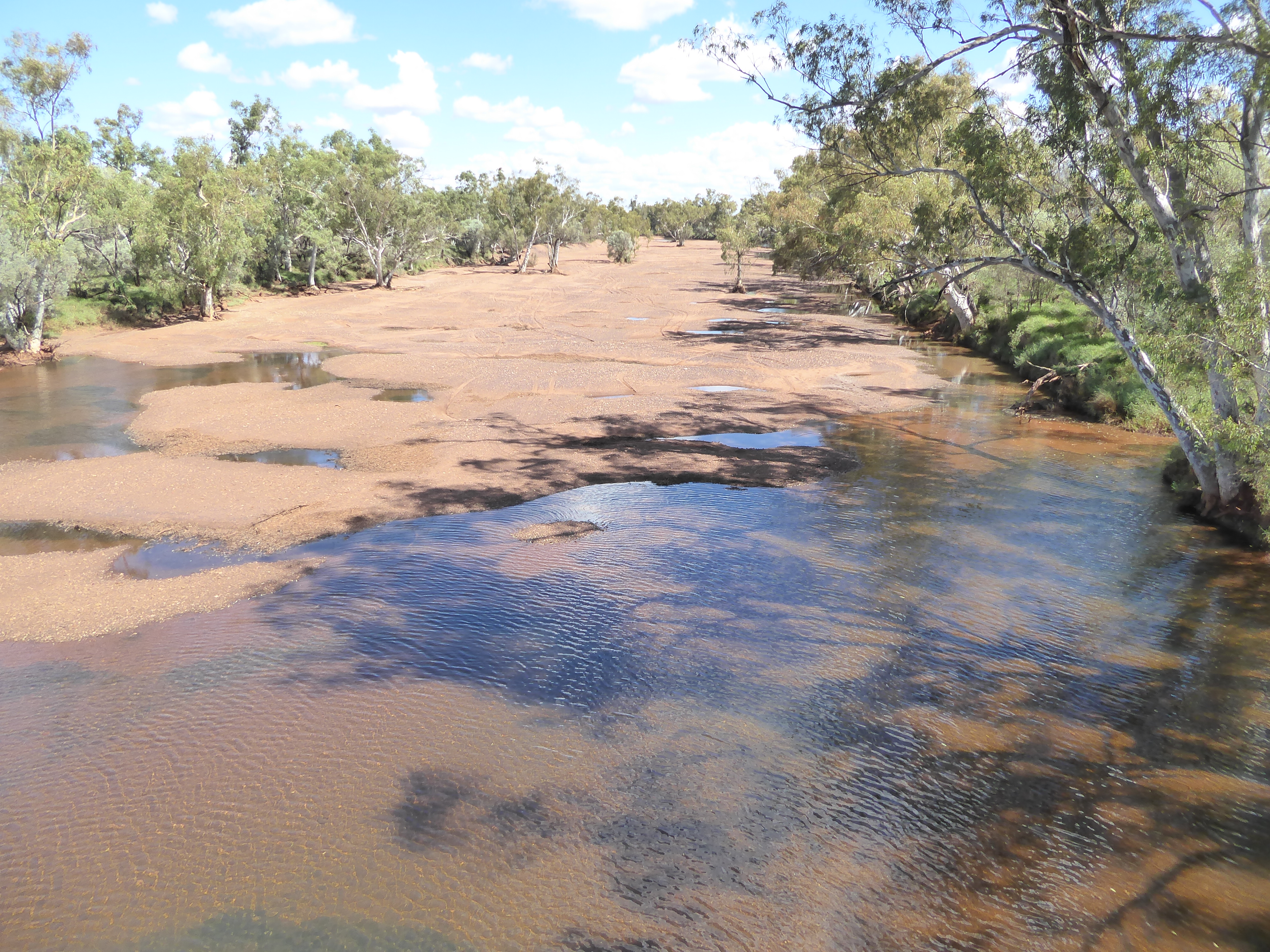 There's only 10 inches of rain annually, but it's not an absolute desert: come at the right time and creeks get wet. Welcome to Coondiner Cr