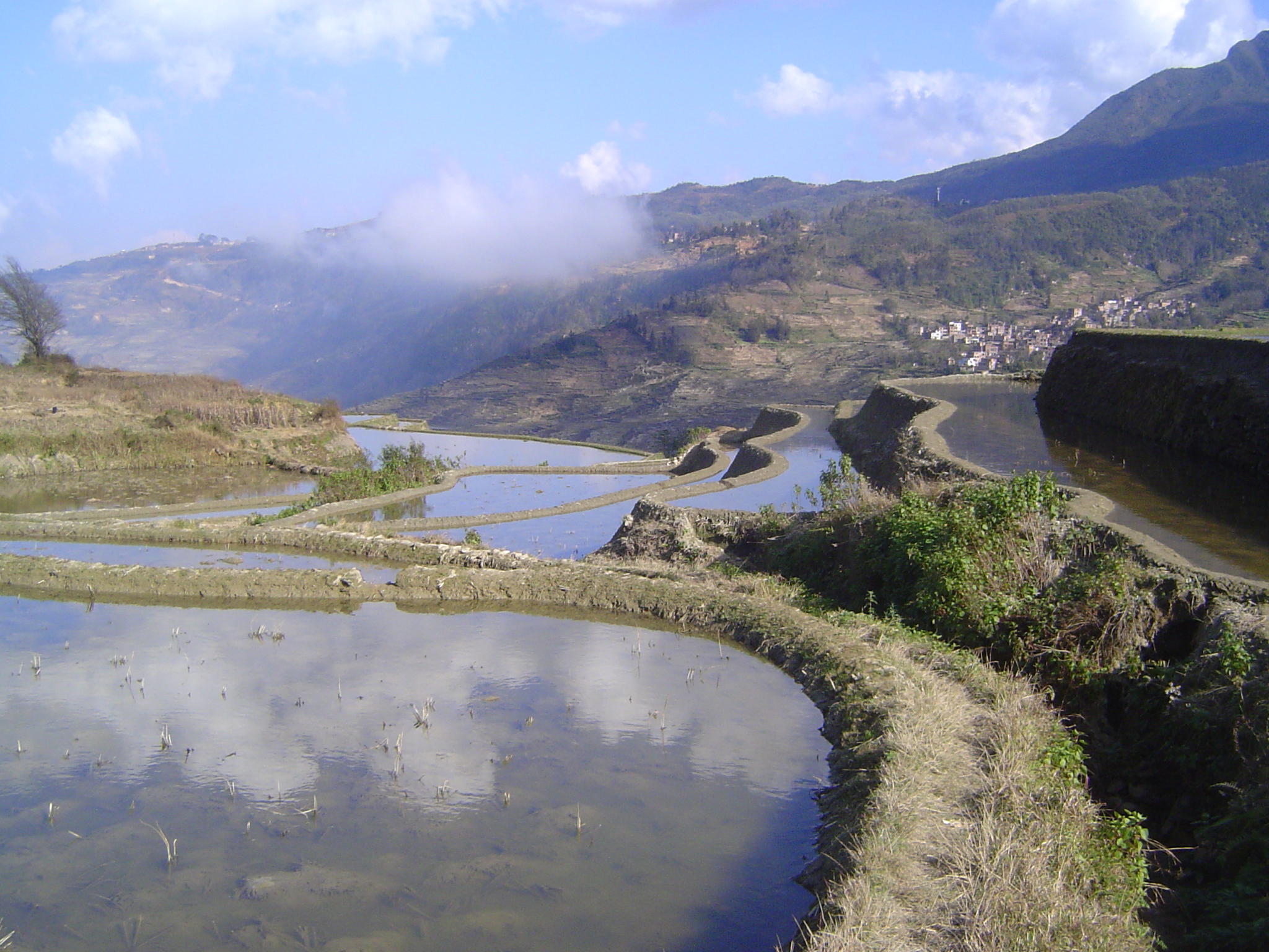 The main channel sweeps through a big, weedy "S" curve.