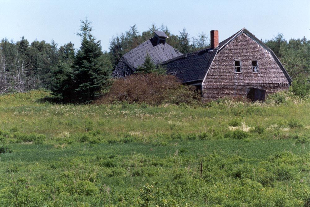 The peak for potatoes here was around World War II, and production has steadily declined from about 100,000 acres in 1980 to about 60,000 no